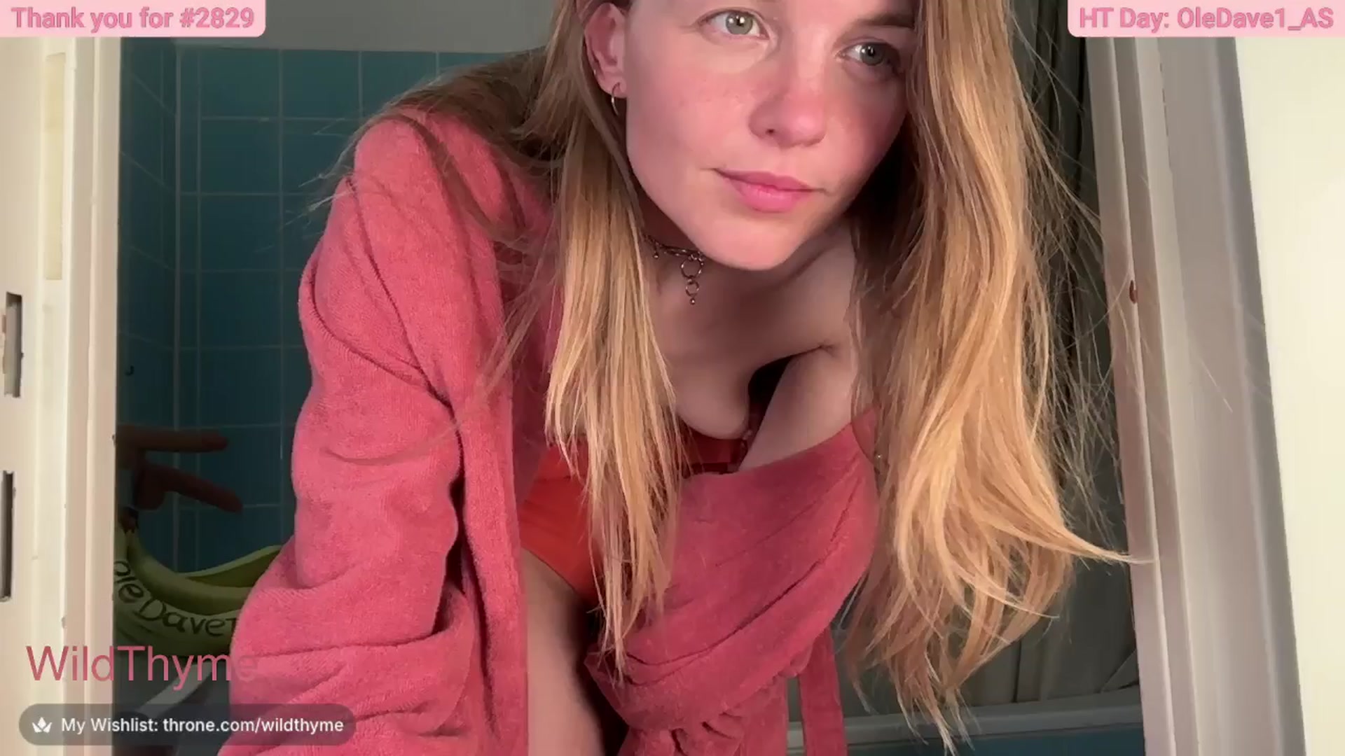 Gallery image thumbnail from WildThyme's myfreecams stream on, 04/28/2026, 20:13 image 3 of 20