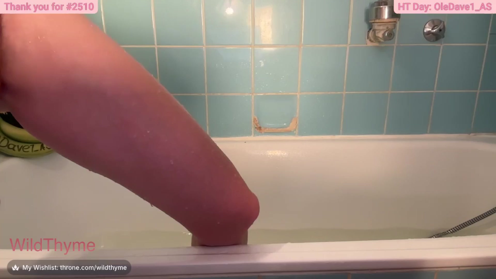 Gallery image thumbnail from WildThyme's myfreecams stream on, 04/28/2026, 20:13 image 15 of 20