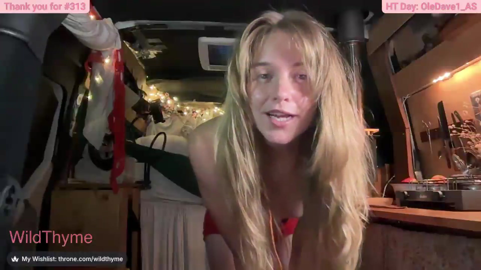 Gallery image thumbnail from WildThyme's myfreecams stream on, 09/01/2026, 19:08 image 14 of 20