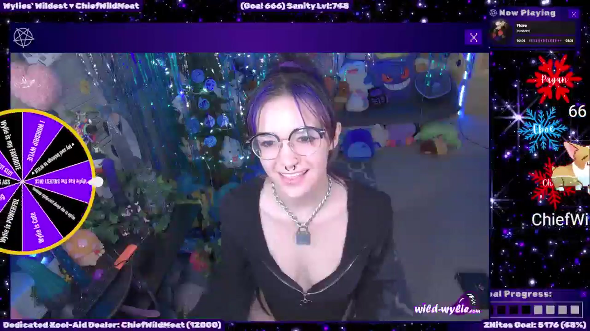 Gallery image thumbnail from WildWyliePM's myfreecams stream on, 12/14/2025, 03:07 image 10 of 20
