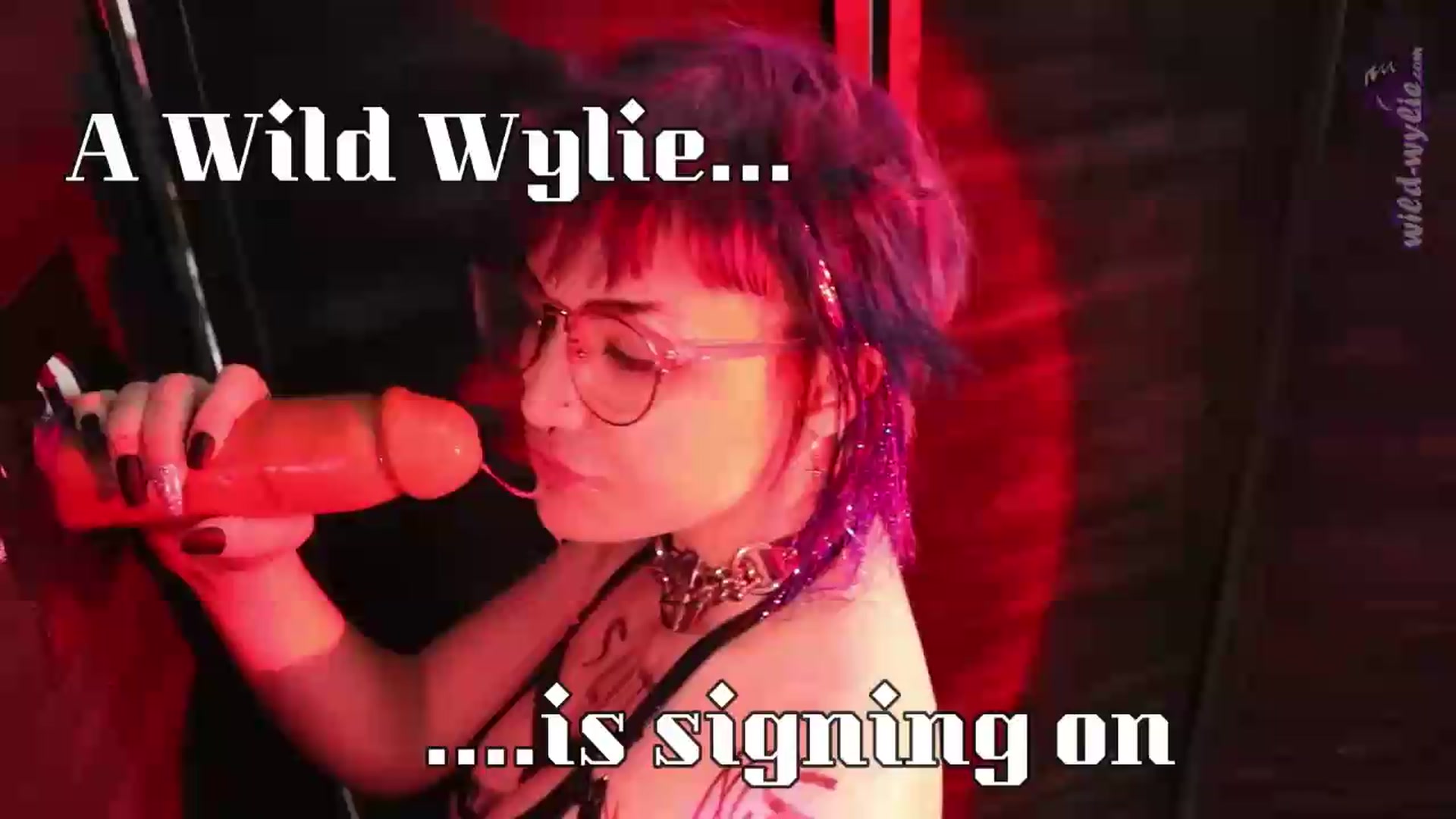 Gallery image thumbnail from WildWyliePM's myfreecams stream on, 07/17/2026, 06:10 image 1 of 20