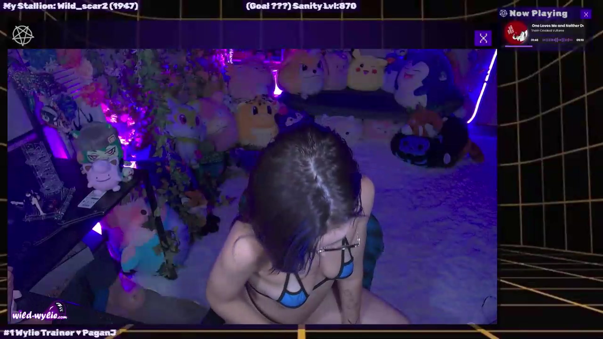 Gallery image thumbnail from WildWyliePM's myfreecams stream on, 08/14/2026, 05:26 image 14 of 20