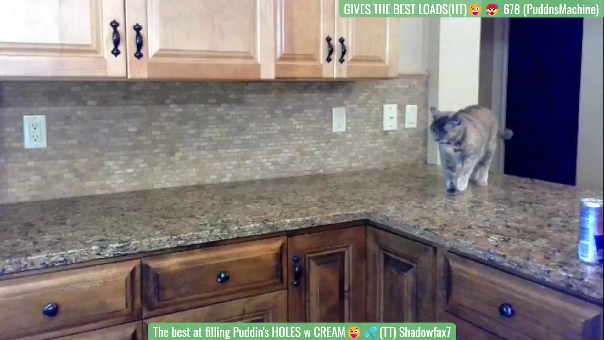 Gallery image thumbnail from Wild_BlondeXx's myfreecams stream on, 07/27/2024, 21:24 image 18 of 20