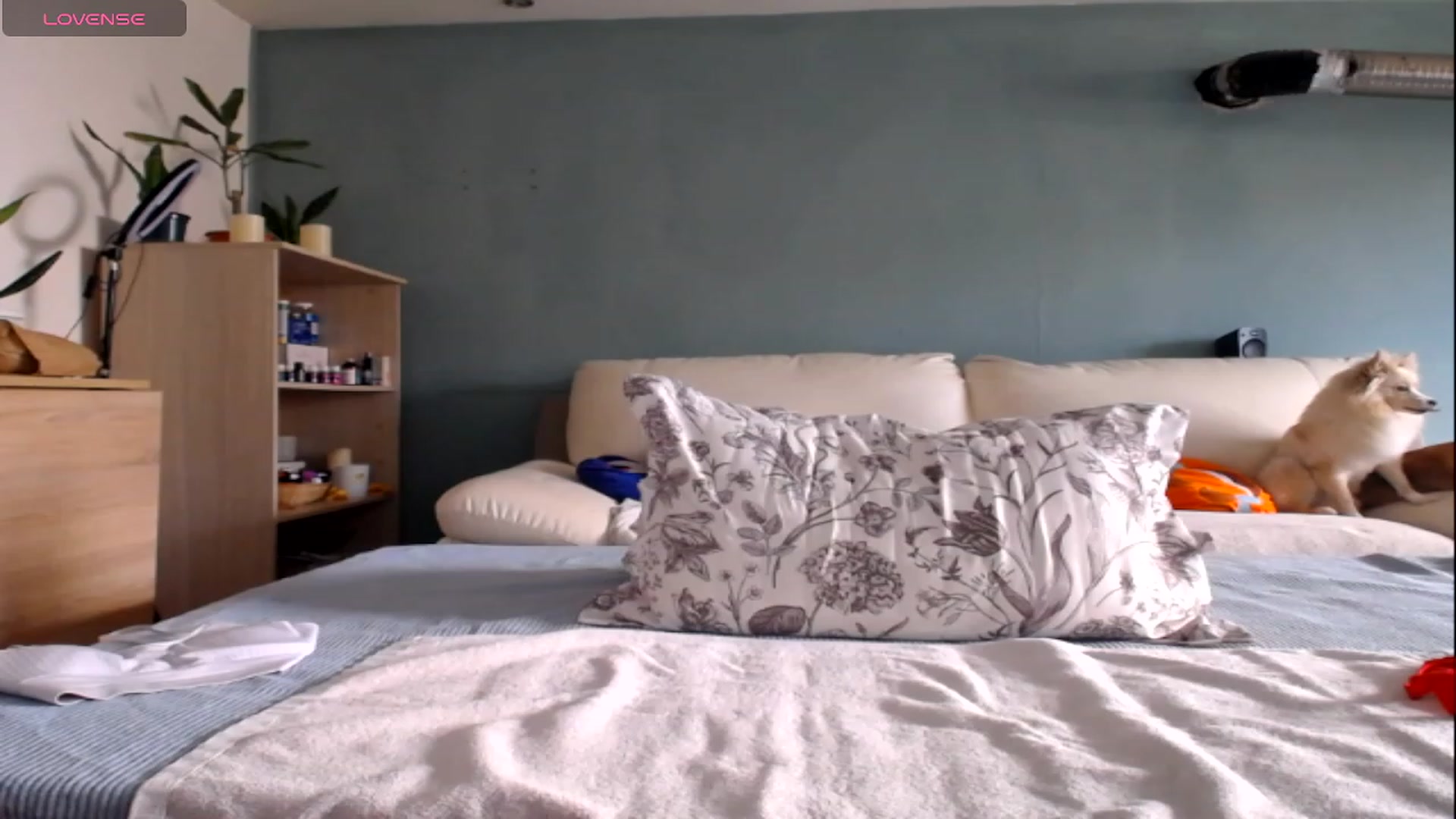 Gallery image thumbnail from Wild_Desiree's myfreecams stream on, 01/23/2024, 10:13 image 19 of 20