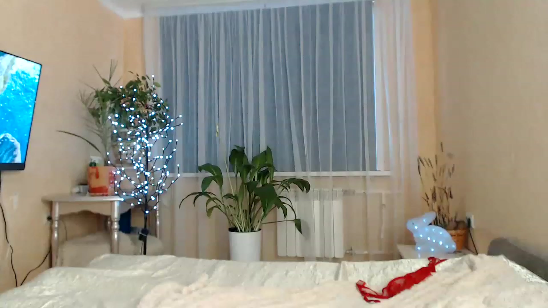 Gallery image thumbnail from Wild_kitten_'s myfreecams stream on, 01/30/2023, 05:00 image 8 of 20