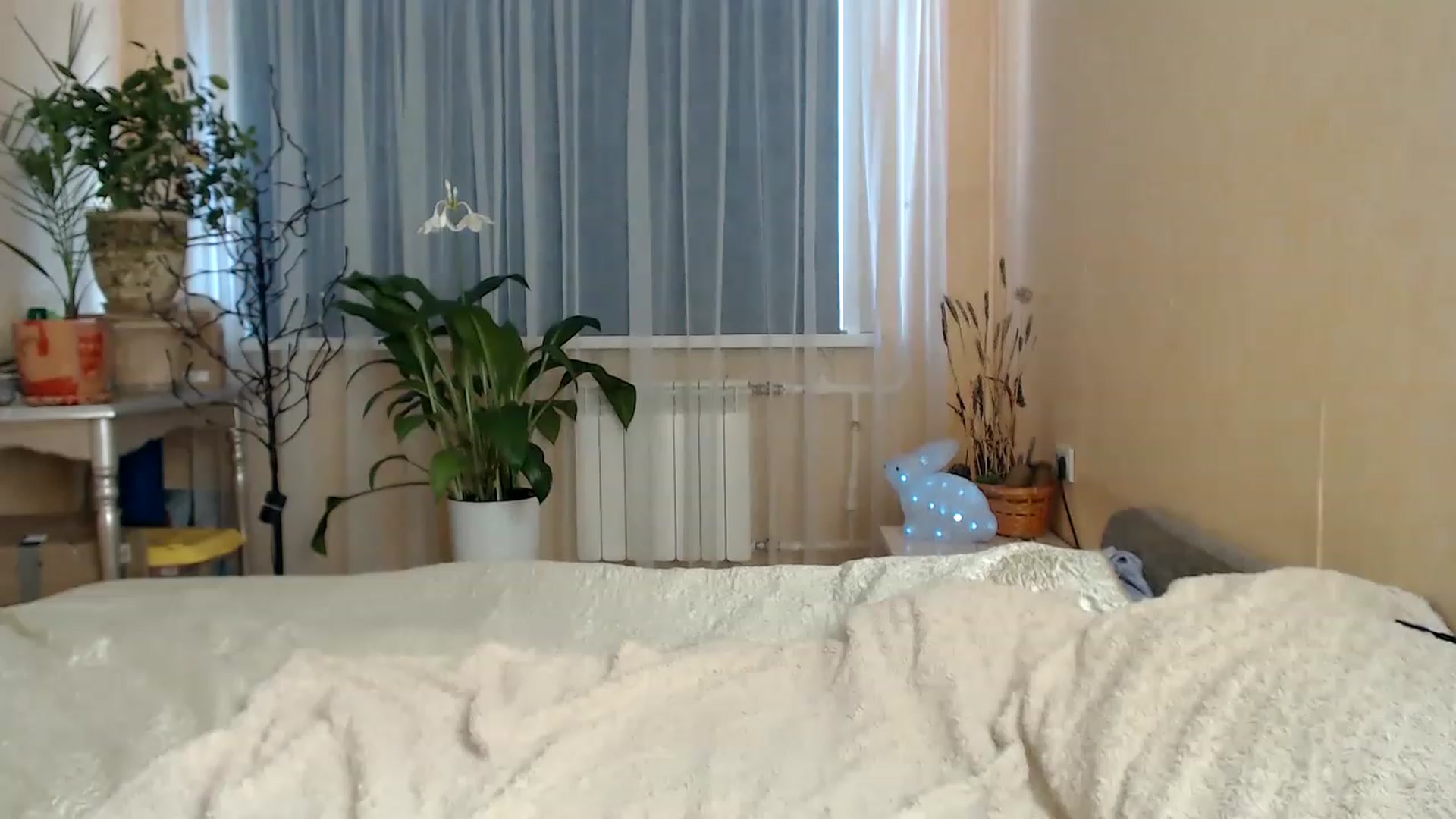 Gallery image thumbnail from Wild_kitten_'s myfreecams stream on, 02/03/2023, 05:50 image 15 of 20