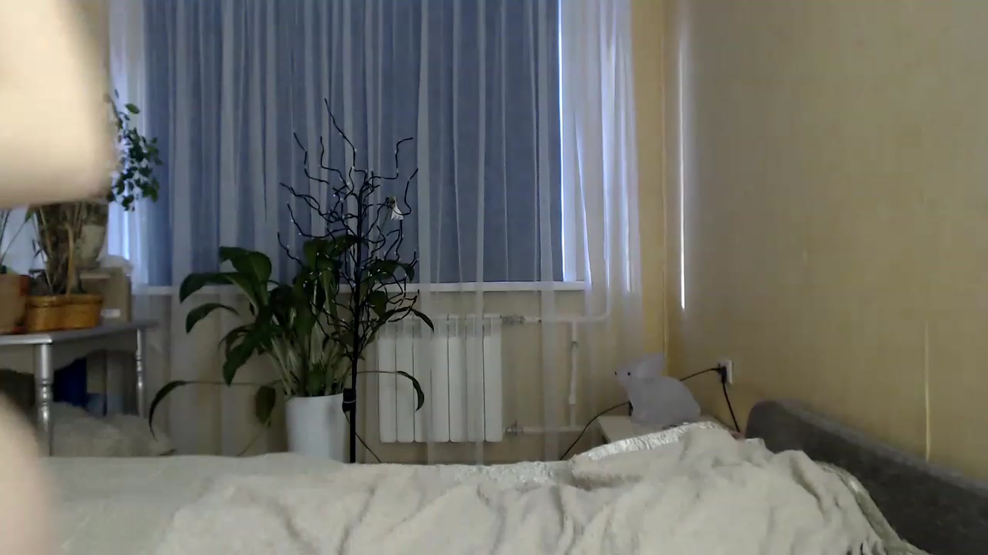 Gallery image thumbnail from Wild_kitten_'s myfreecams stream on, 02/14/2023, 04:17 image 19 of 20
