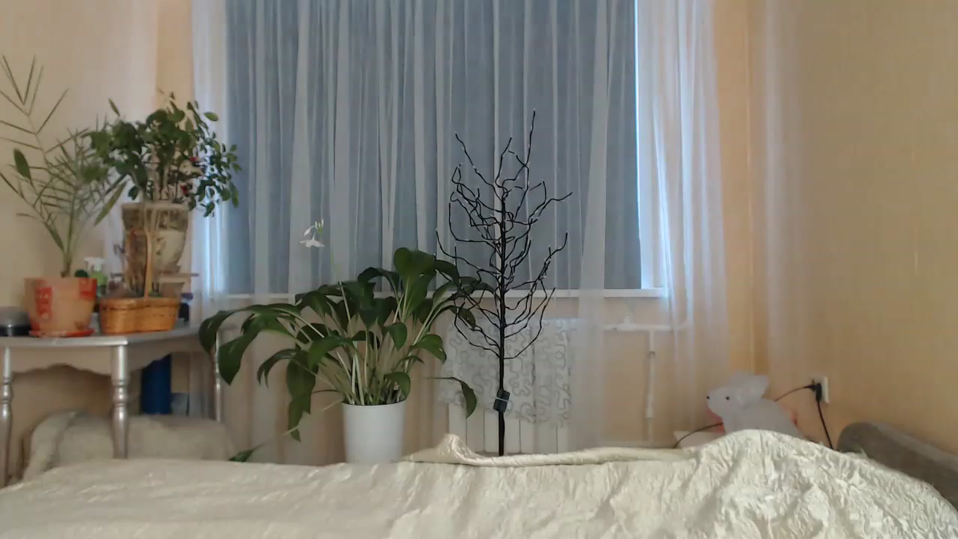 Gallery image thumbnail from Wild_kitten_'s myfreecams stream on, 02/28/2023, 04:27 image 20 of 20