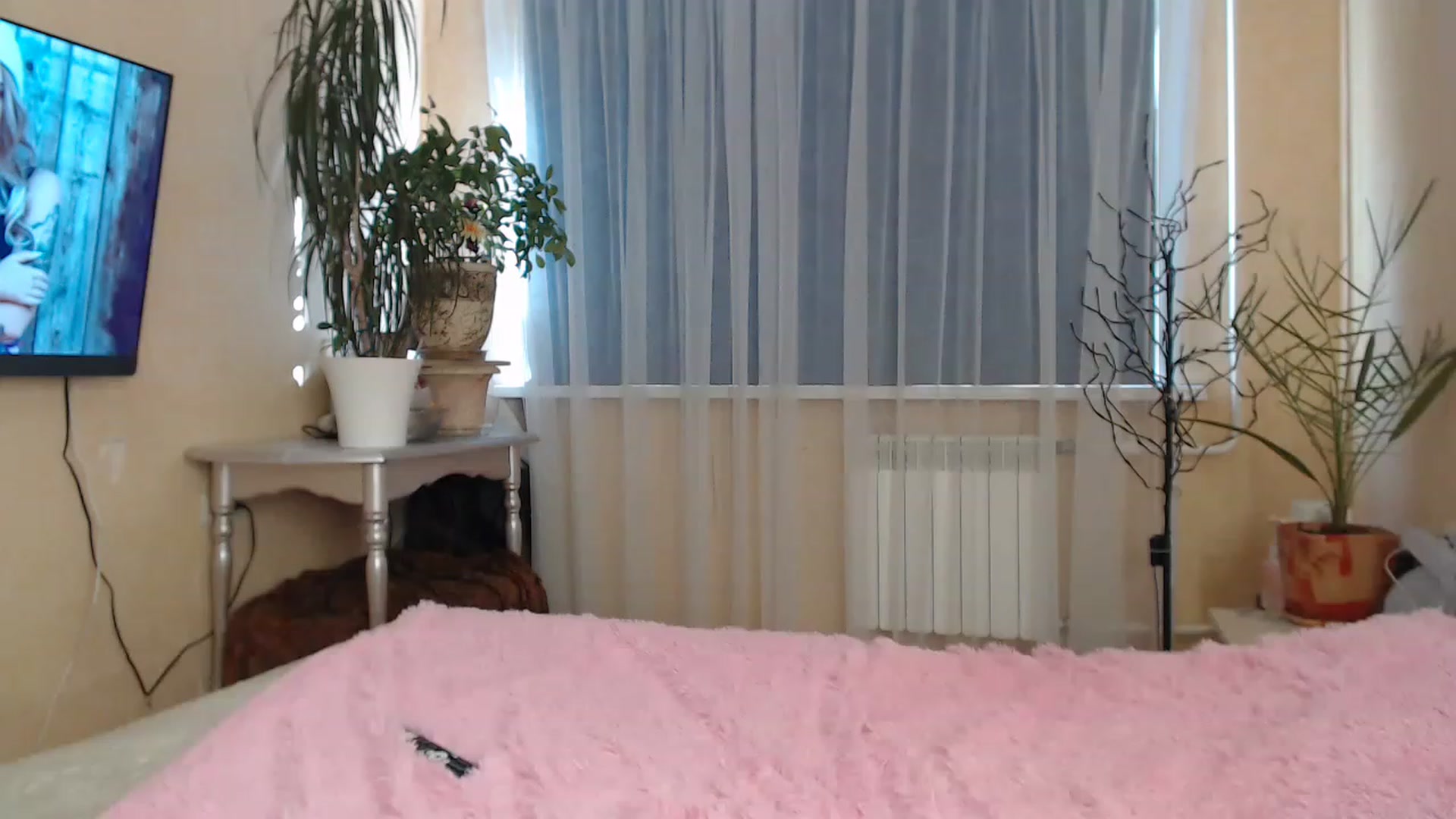 Gallery image thumbnail from Wild_kitten_'s myfreecams stream on, 04/29/2023, 03:23 image 18 of 20