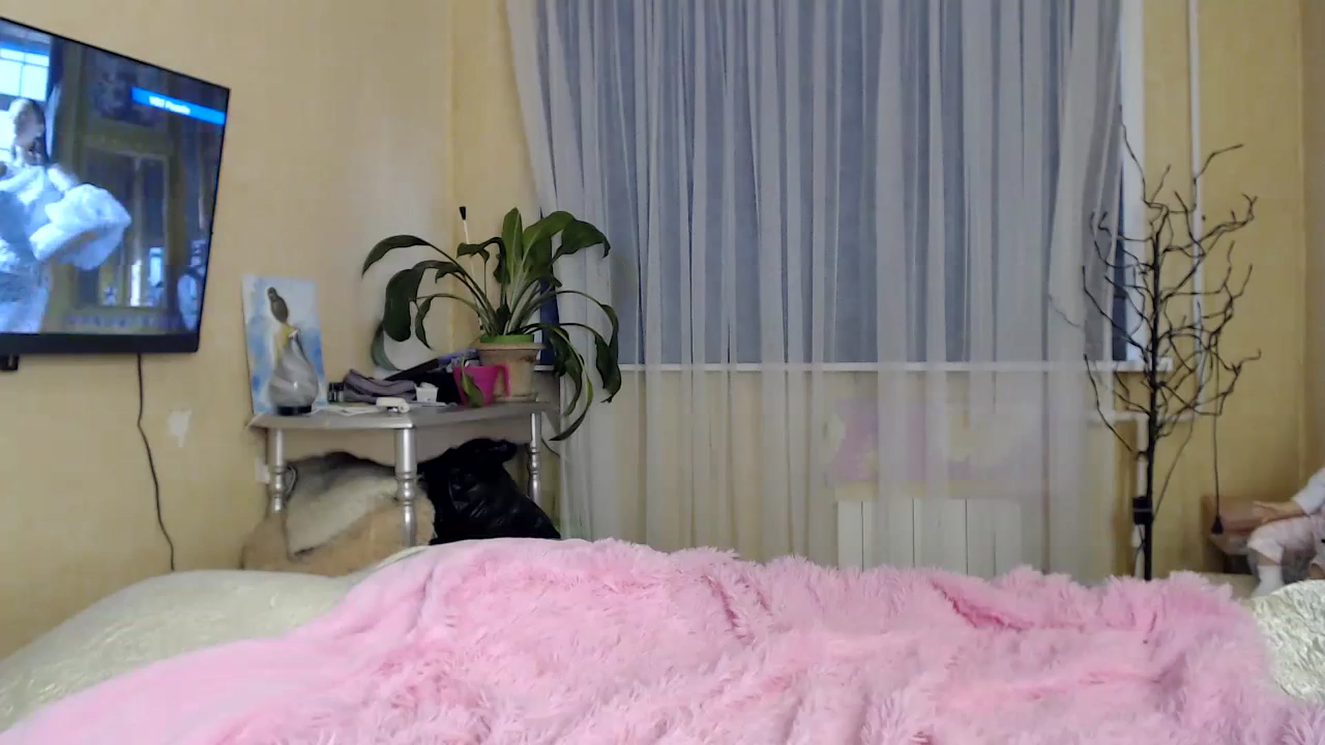 Gallery image thumbnail from Wild_kitten_'s myfreecams stream on, 09/04/2023, 04:21 image 3 of 20