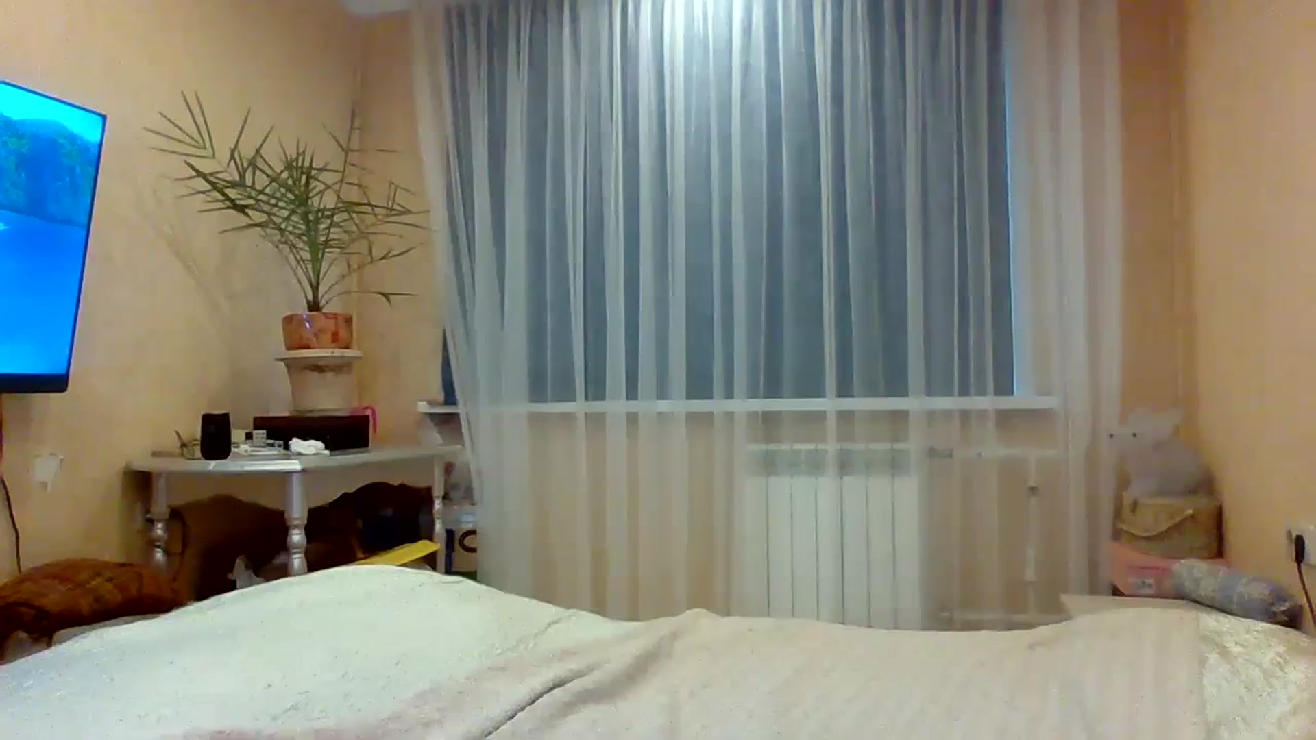 Gallery image thumbnail from Wild_kitten_'s myfreecams stream on, 11/23/2023, 04:10 image 4 of 20