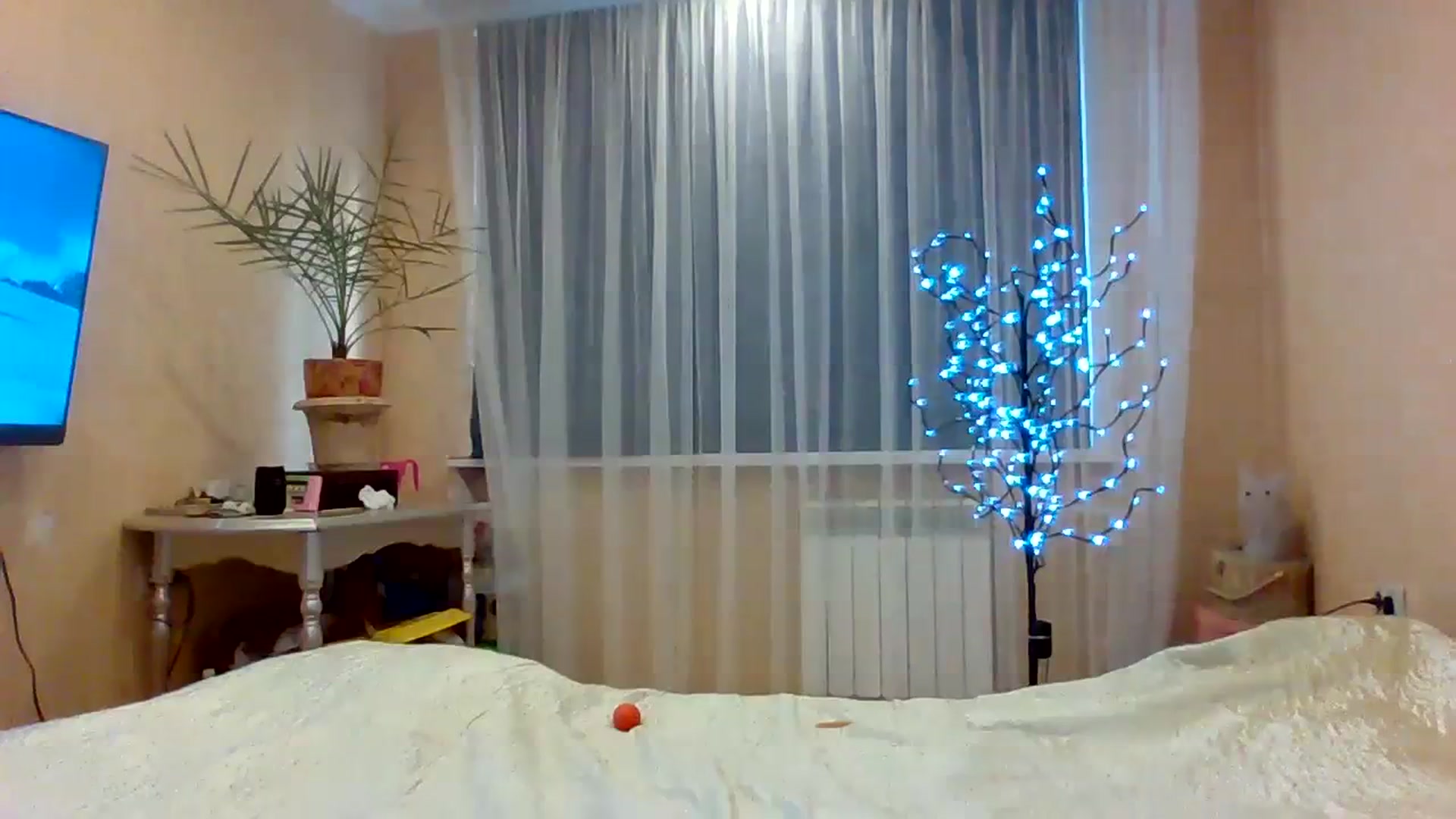 Gallery image thumbnail from Wild_kitten_'s myfreecams stream on, 12/11/2023, 05:13 image 4 of 20