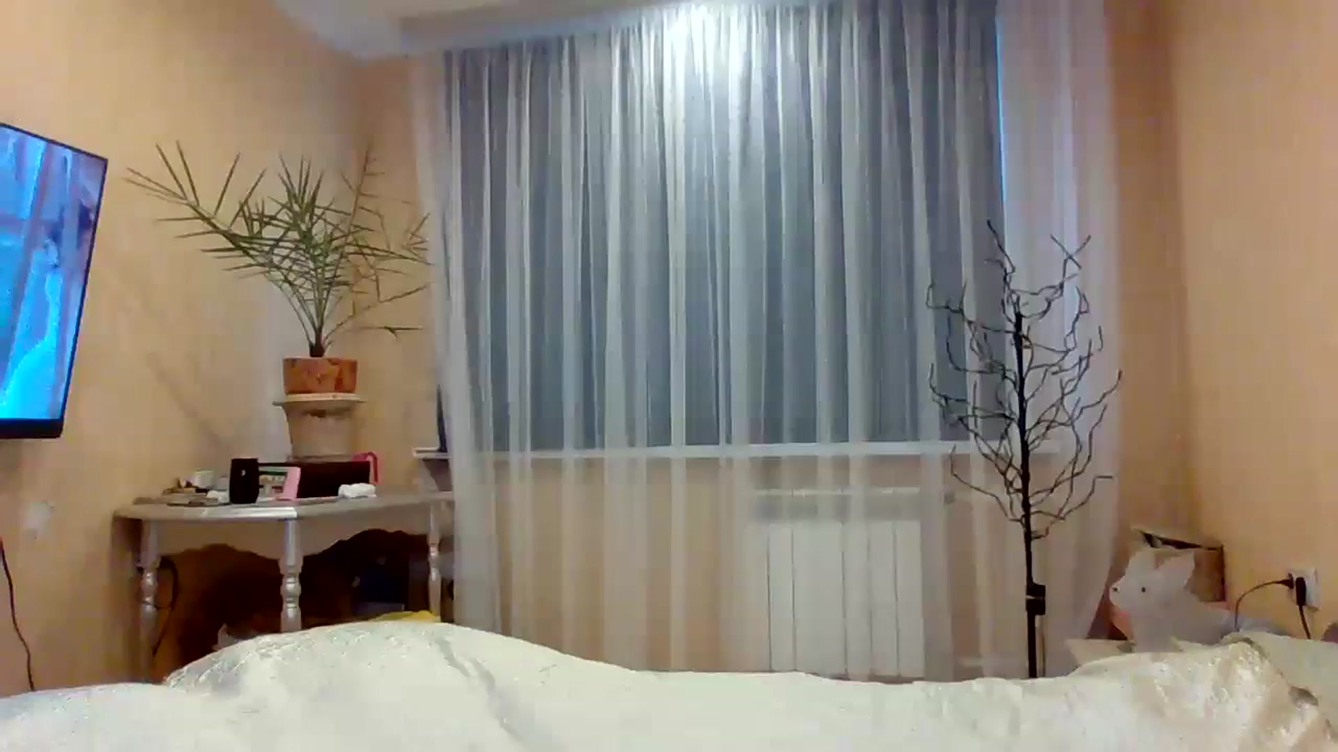 Gallery image thumbnail from Wild_kitten_'s myfreecams stream on, 12/21/2023, 04:23 image 11 of 20
