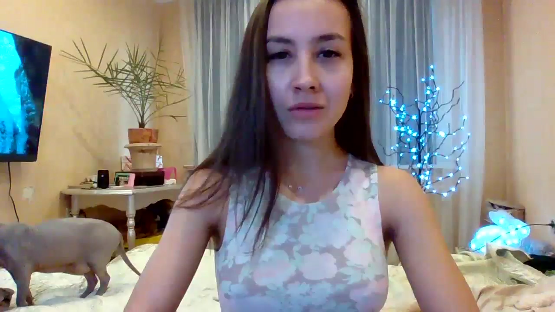 Gallery image thumbnail from Wild_kitten_'s myfreecams stream on, 12/27/2023, 04:27 image 8 of 20