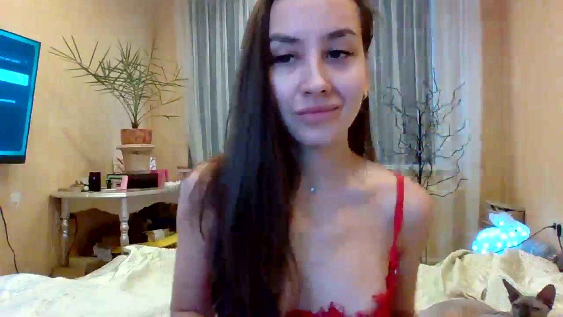 Gallery image thumbnail from Wild_kitten_'s myfreecams stream on, 12/28/2023, 05:22 image 7 of 20