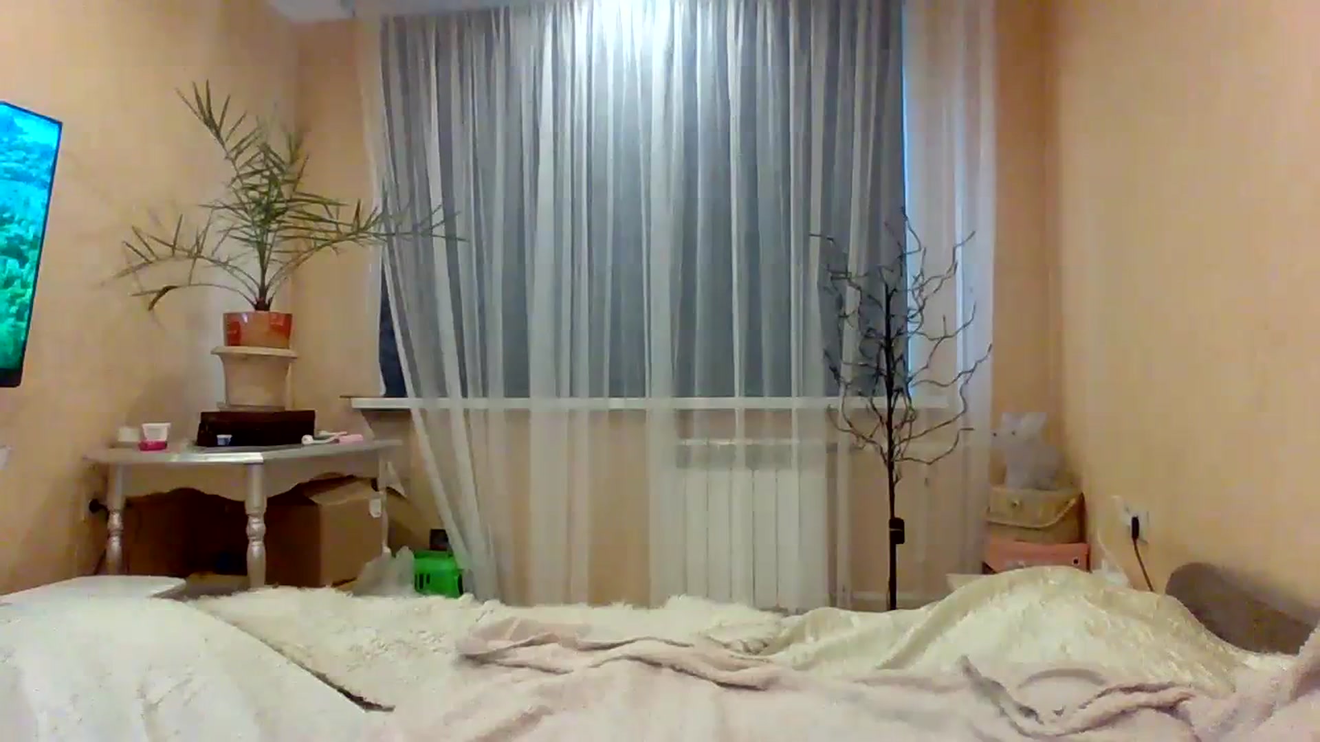 Gallery image thumbnail from Wild_kitten_'s myfreecams stream on, 03/31/2024, 04:57 image 4 of 20