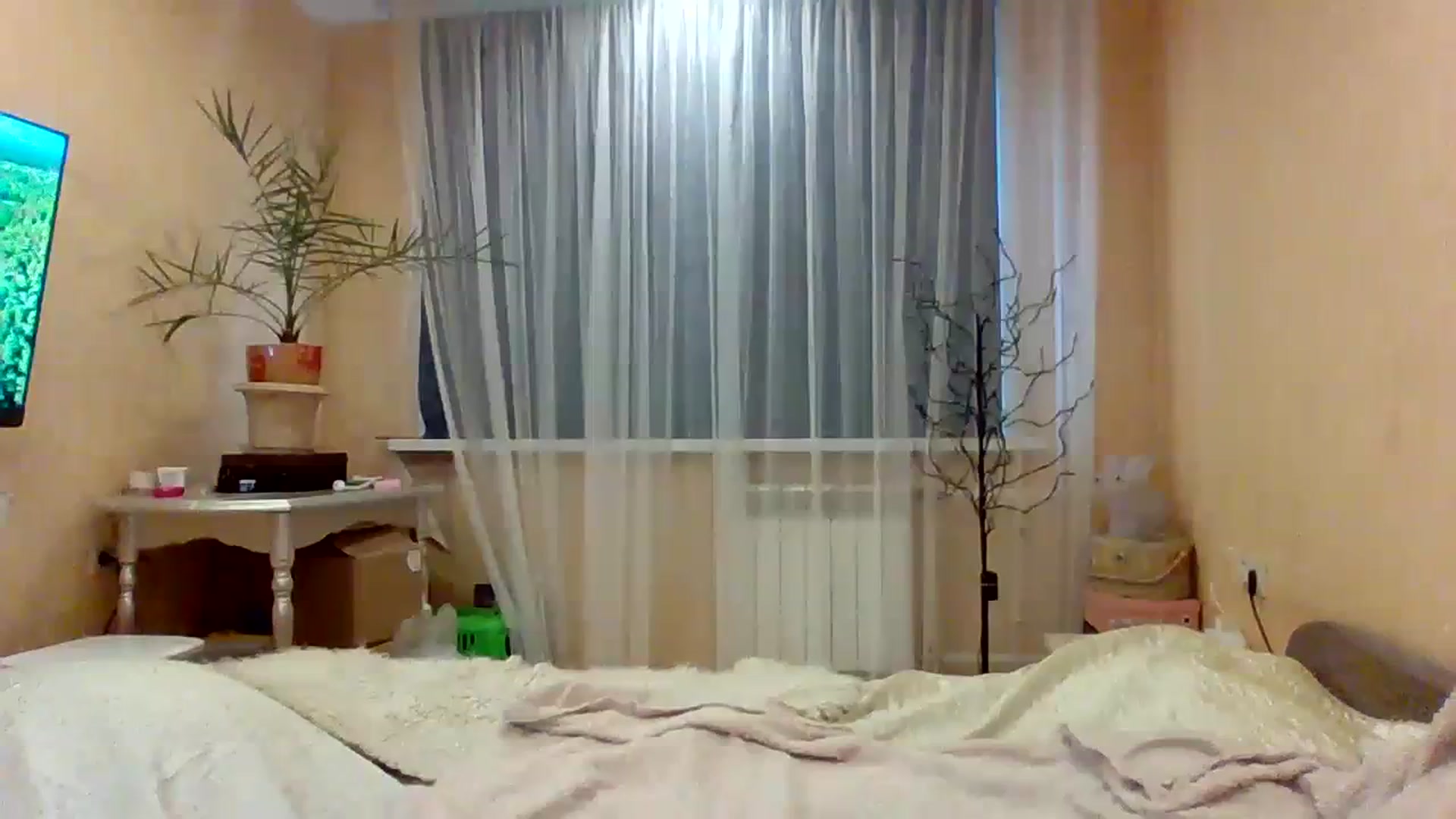 Gallery image thumbnail from Wild_kitten_'s myfreecams stream on, 03/31/2024, 04:57 image 3 of 20