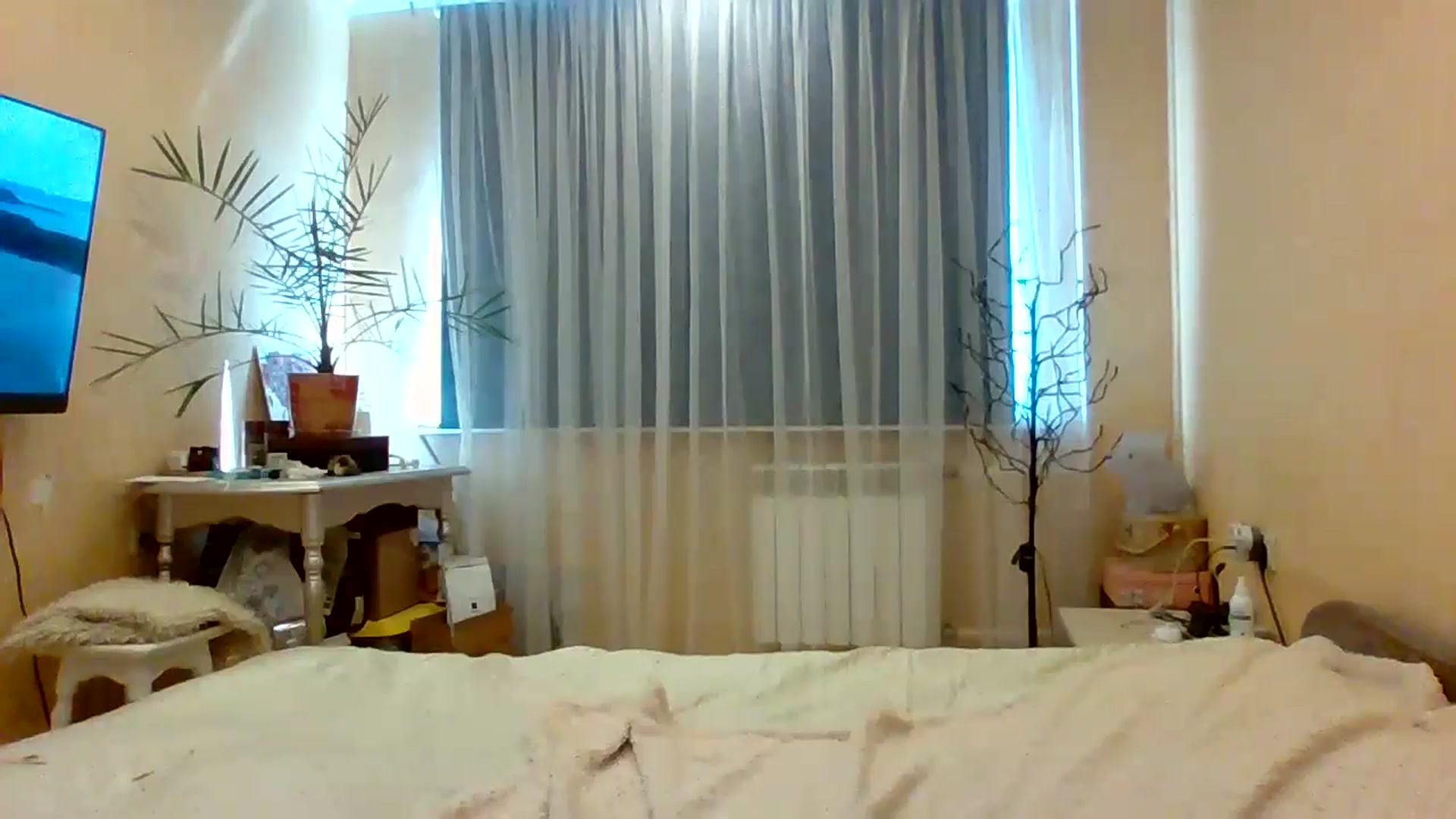 Gallery image thumbnail from Wild_kitten_'s myfreecams stream on, 07/02/2024, 03:51 image 18 of 20