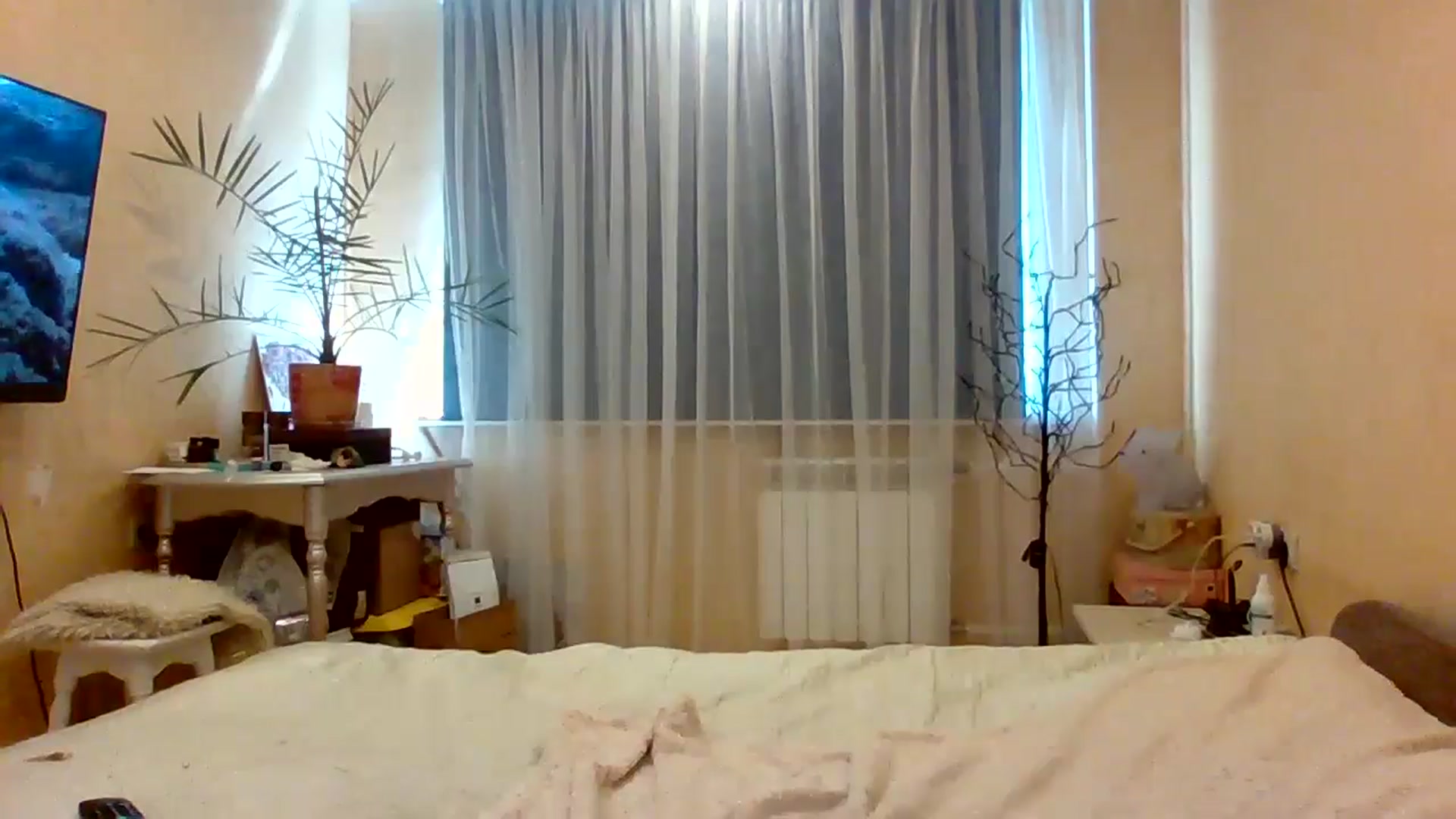 Gallery image thumbnail from Wild_kitten_'s myfreecams stream on, 07/02/2024, 04:48 image 13 of 20