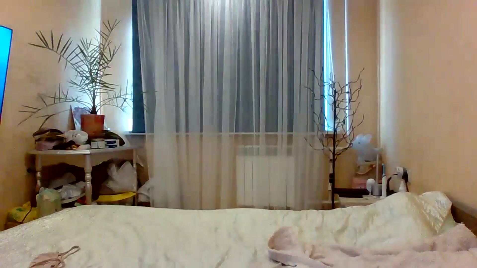 Gallery image thumbnail from Wild_kitten_'s myfreecams stream on, 08/03/2024, 02:29 image 12 of 20