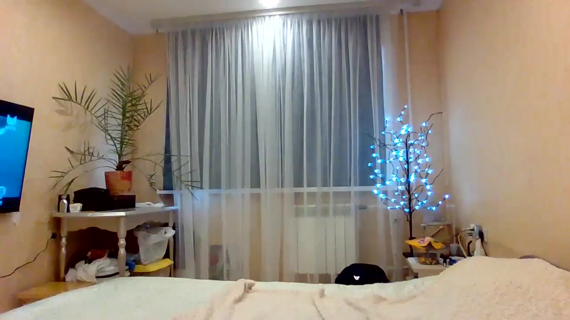 Gallery image thumbnail from Wild_kitten_'s myfreecams stream on, 11/03/2024, 03:00 image 8 of 20