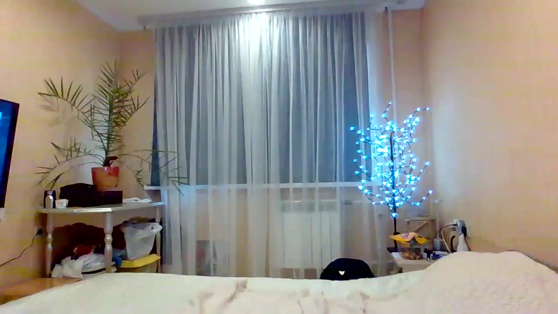 Gallery image thumbnail from Wild_kitten_'s myfreecams stream on, 11/03/2024, 03:24 image 15 of 20