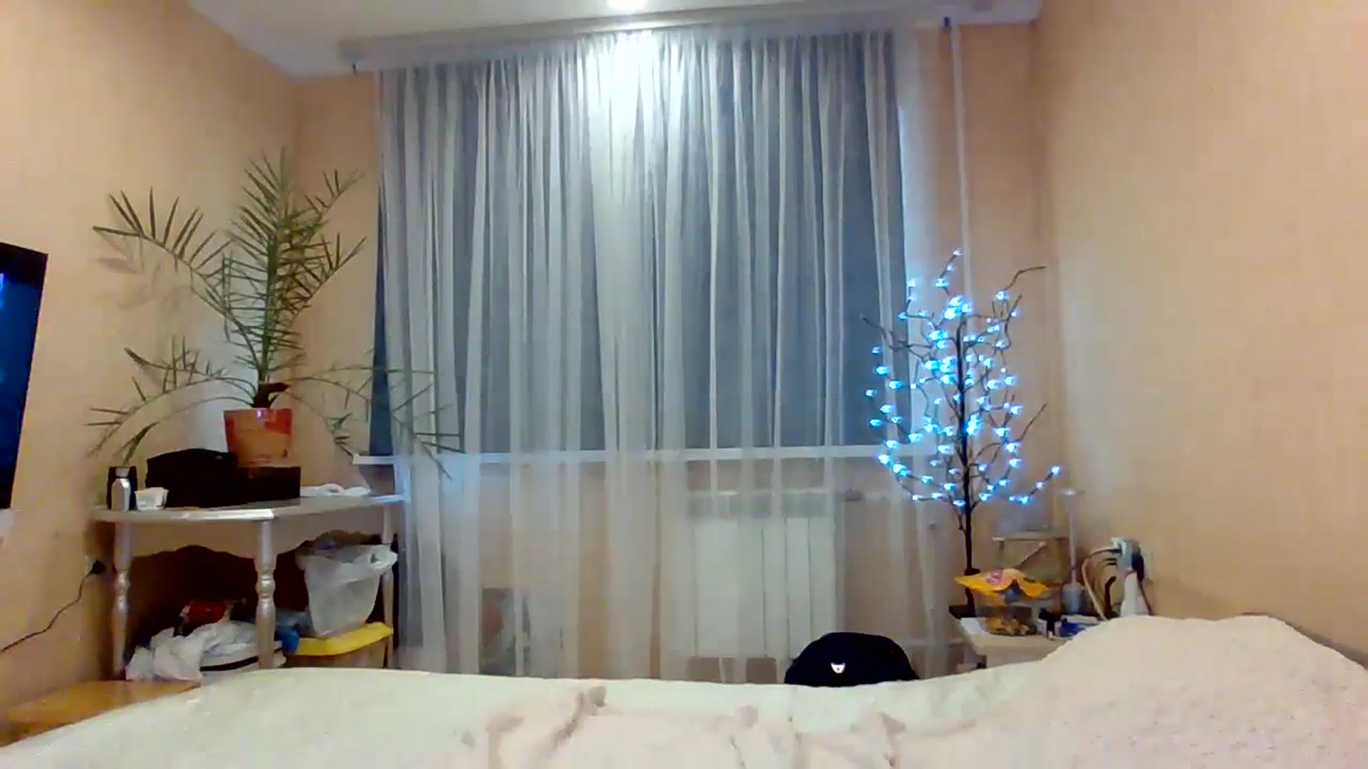 Gallery image thumbnail from Wild_kitten_'s myfreecams stream on, 11/03/2024, 03:24 image 14 of 20