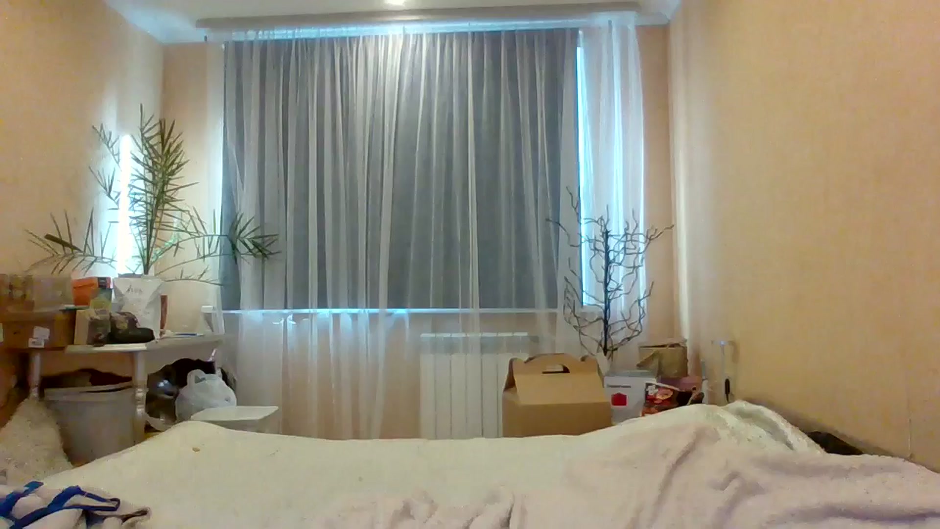 Gallery image thumbnail from Wild_kitten_'s myfreecams stream on, 03/09/2025, 04:29 image 15 of 20