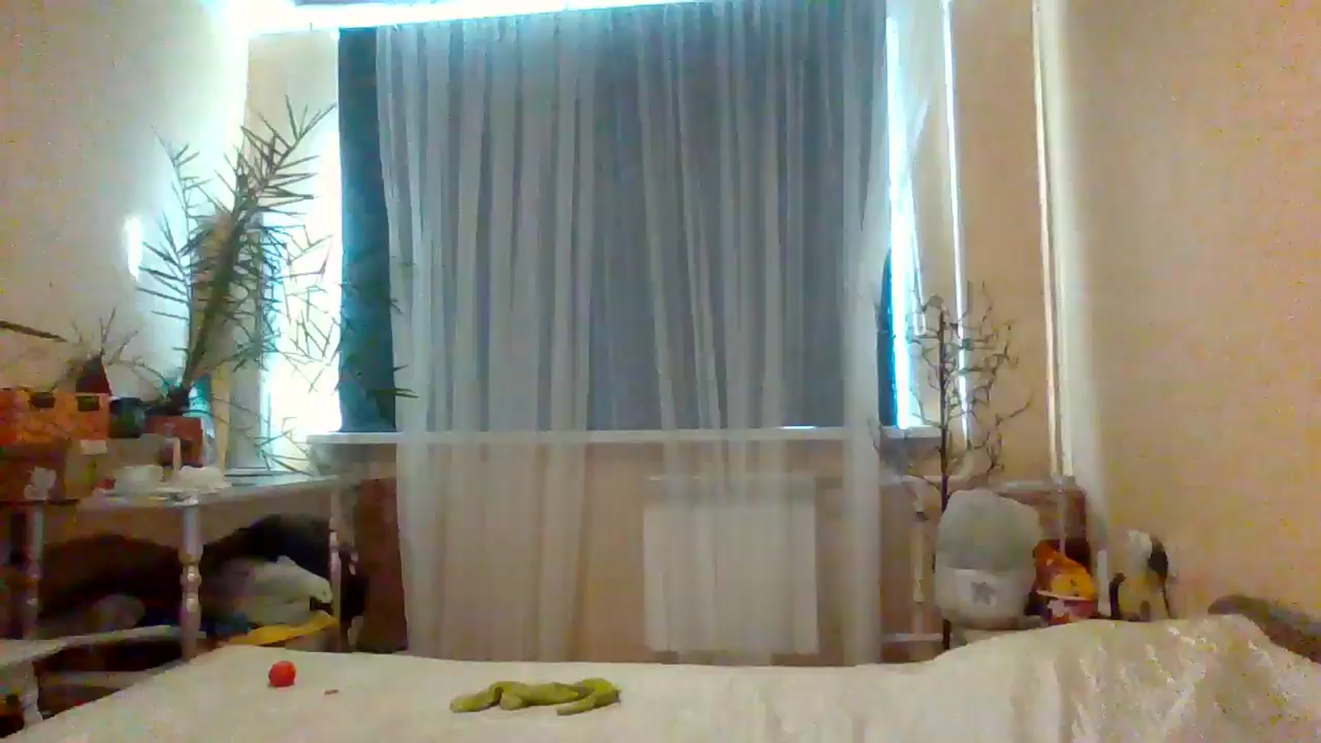 Gallery image thumbnail from Wild_kitten_'s myfreecams stream on, 08/26/2025, 03:32 image 16 of 20