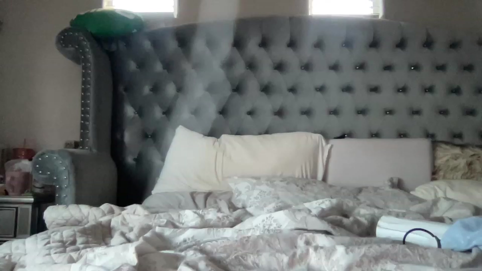 Gallery image thumbnail from Wildamethyst's myfreecams stream on, 02/20/2023, 01:29 image 2 of 20