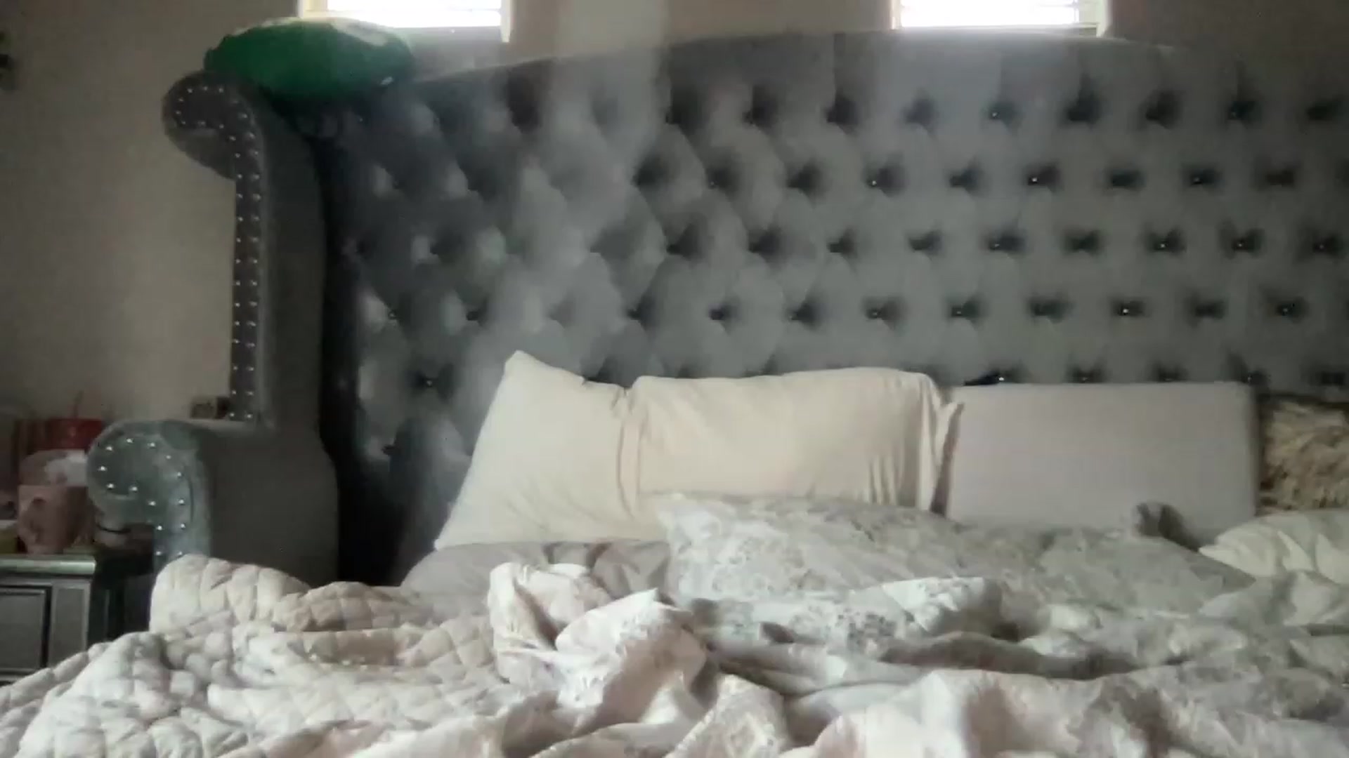Gallery image thumbnail from Wildamethyst's myfreecams stream on, 02/20/2023, 01:29 image 4 of 20