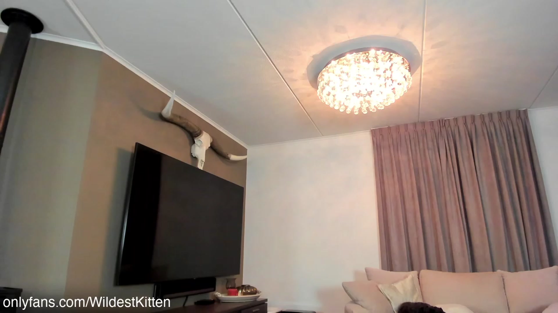 Gallery image thumbnail from WildestKitten's myfreecams stream on, 01/06/2023, 22:54 image 2 of 20