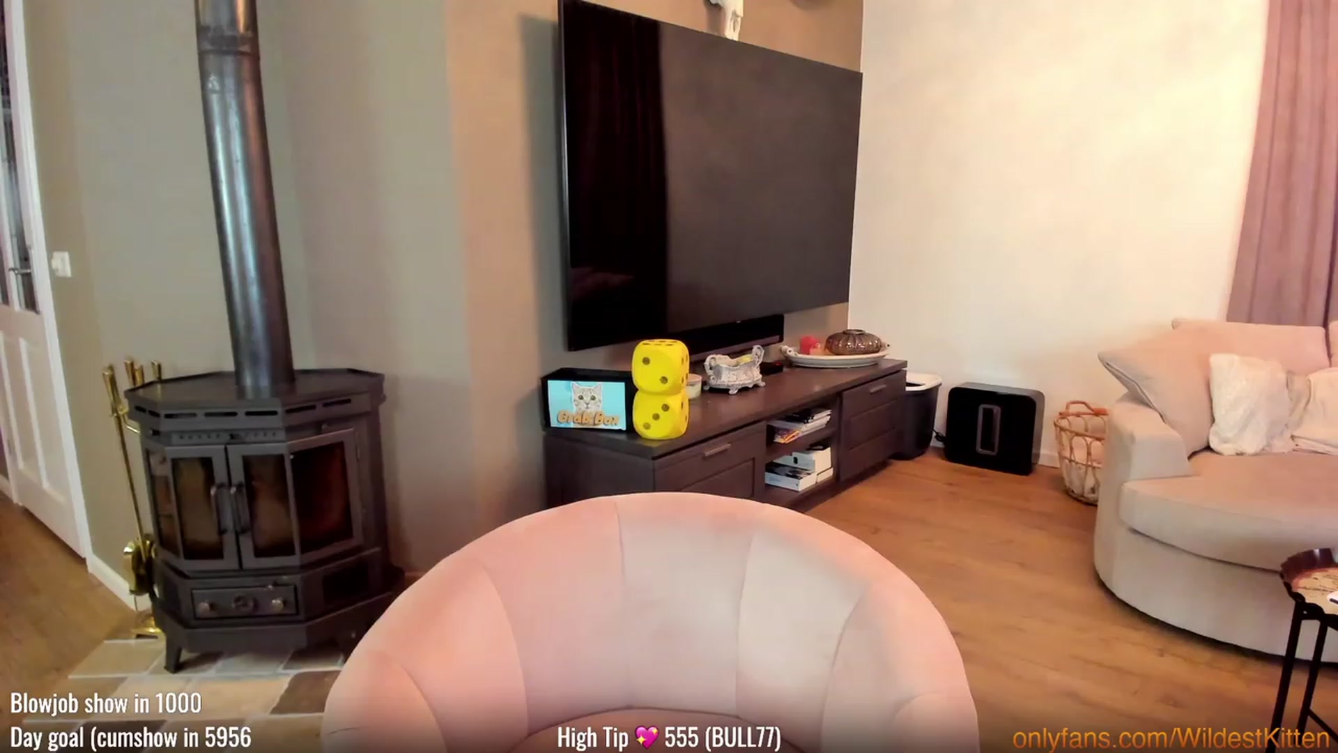 Gallery image thumbnail from WildestKitten's myfreecams stream on, 02/25/2023, 24:42 image 3 of 20
