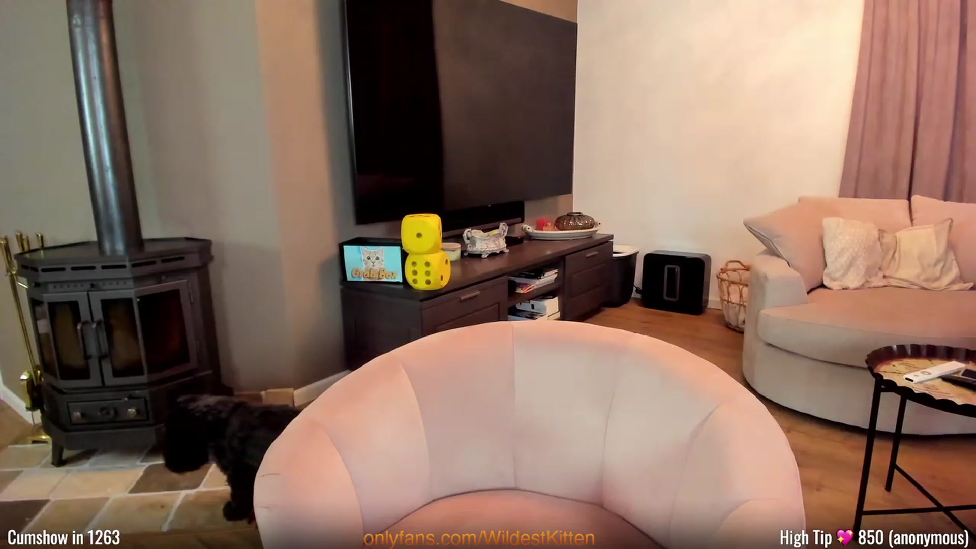 Gallery image thumbnail from WildestKitten's myfreecams stream on, 02/25/2023, 24:42 image 20 of 20