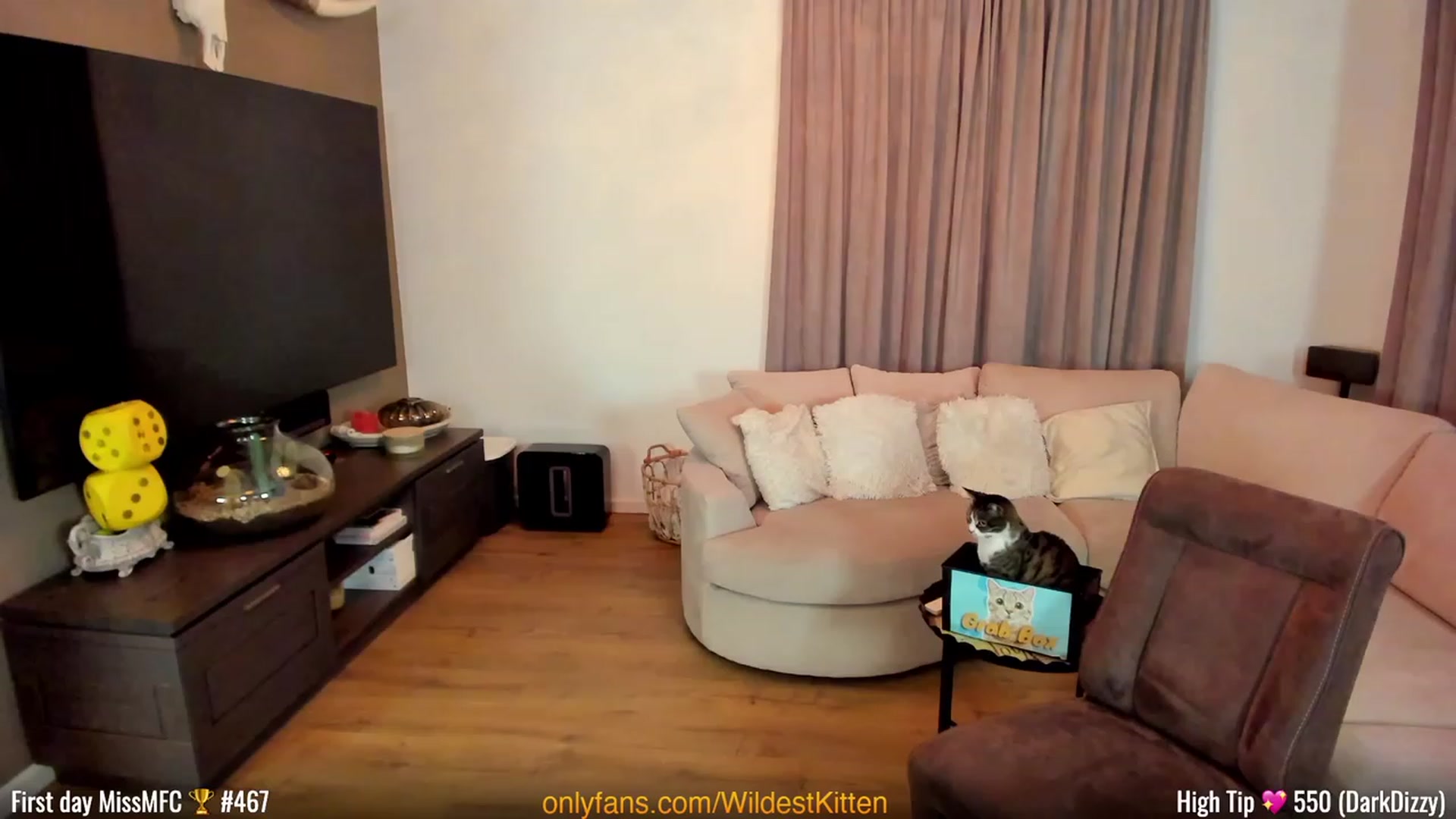 Gallery image thumbnail from WildestKitten's myfreecams stream on, 03/06/2023, 24:09 image 6 of 20