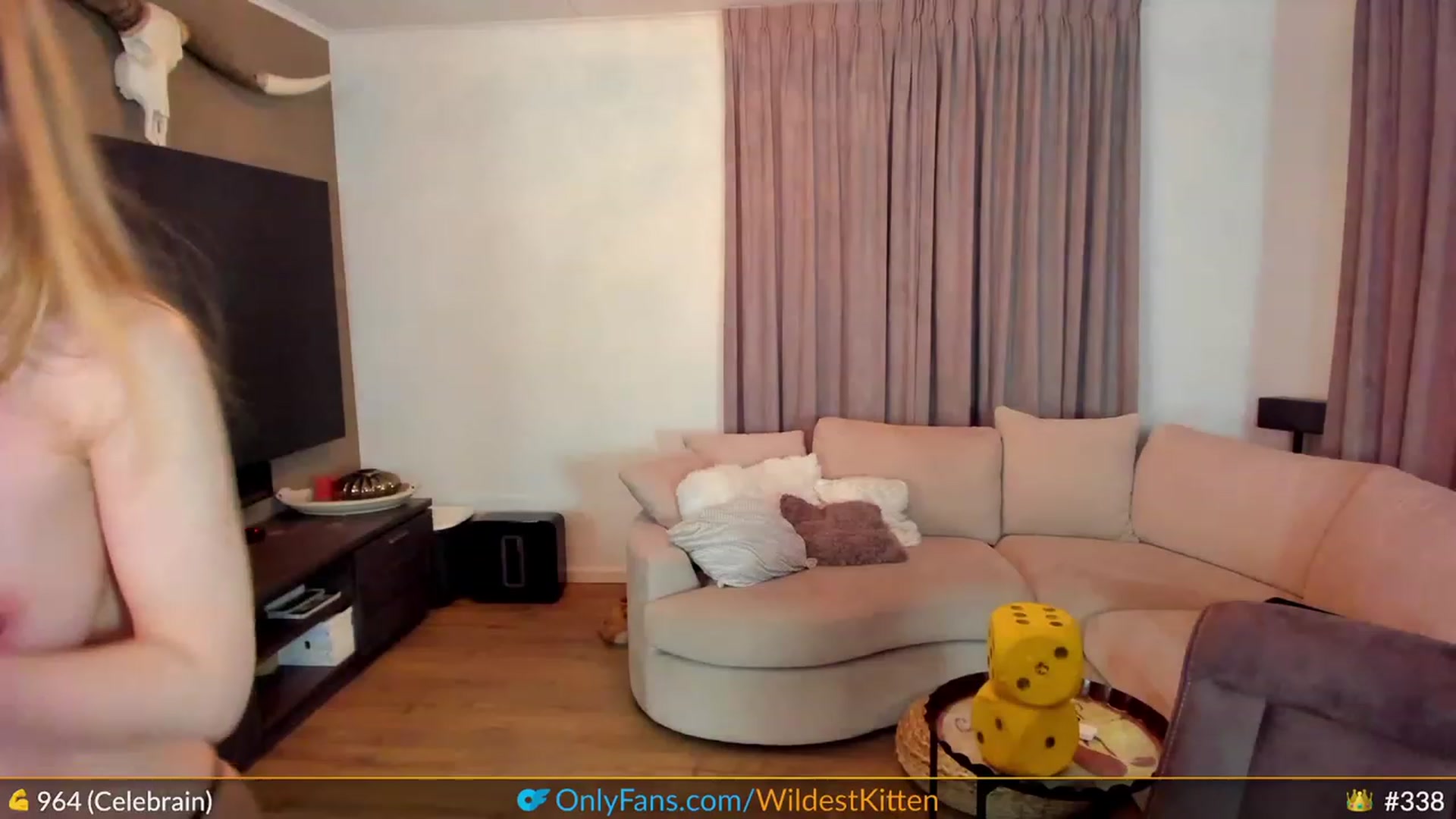 Gallery image thumbnail from WildestKitten's myfreecams stream on, 03/19/2023, 23:57 image 13 of 20