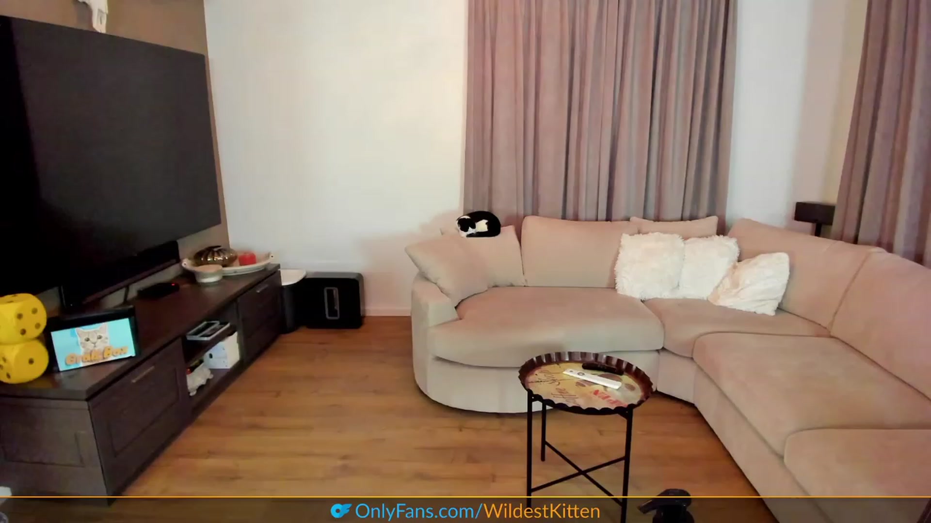Gallery image thumbnail from WildestKitten's myfreecams stream on, 03/22/2023, 22:29 image 18 of 20
