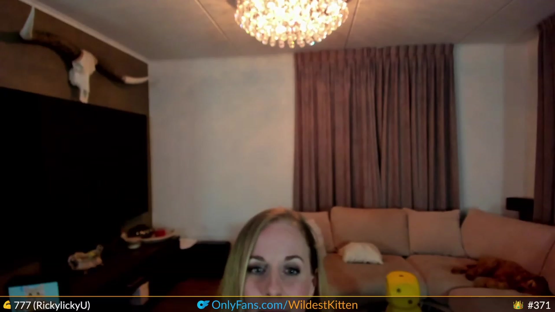 Gallery image thumbnail from WildestKitten's myfreecams stream on, 03/26/2023, 23:17 image 8 of 20