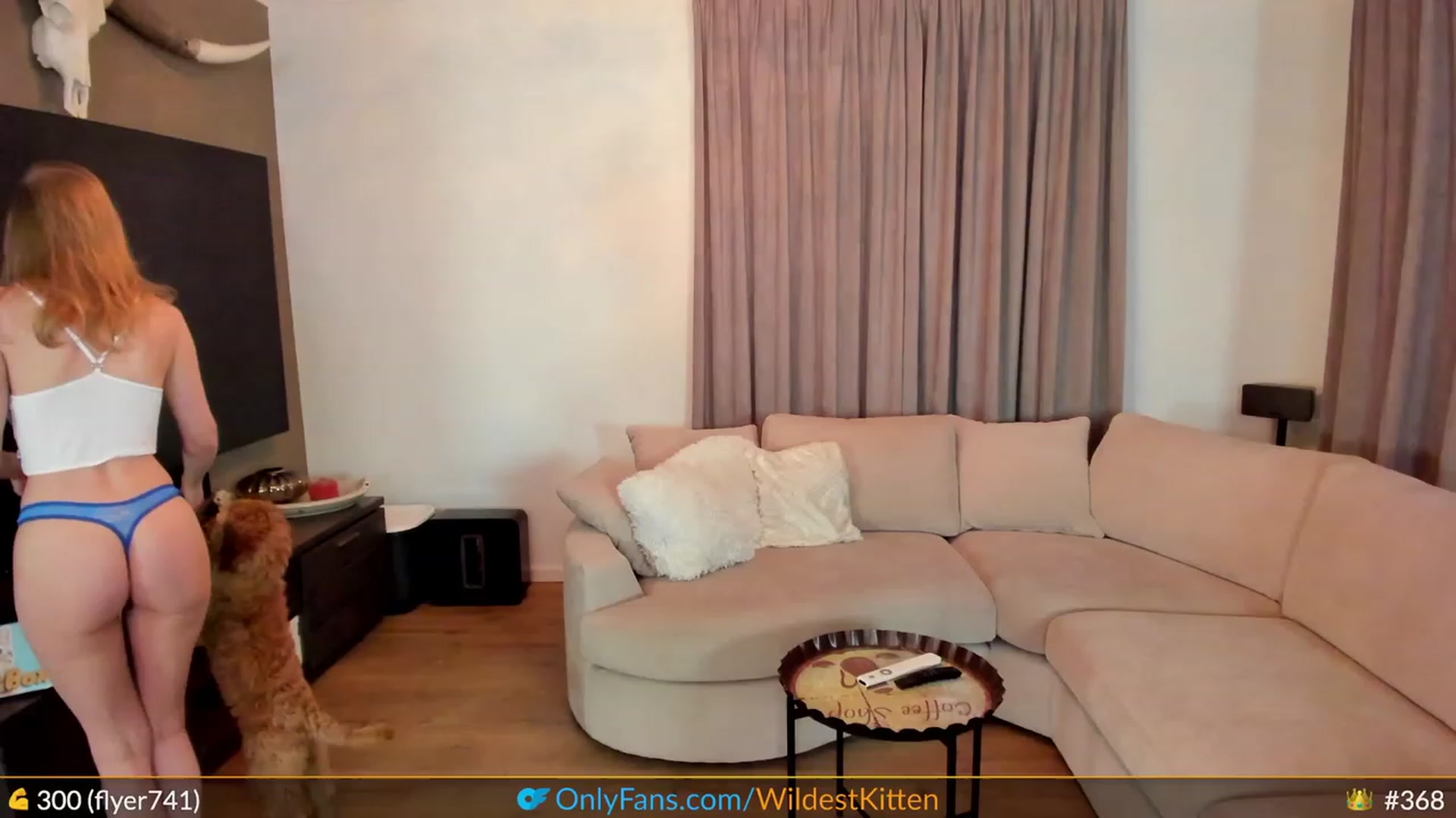 Gallery image thumbnail from WildestKitten's myfreecams stream on, 03/28/2023, 20:58 image 16 of 20