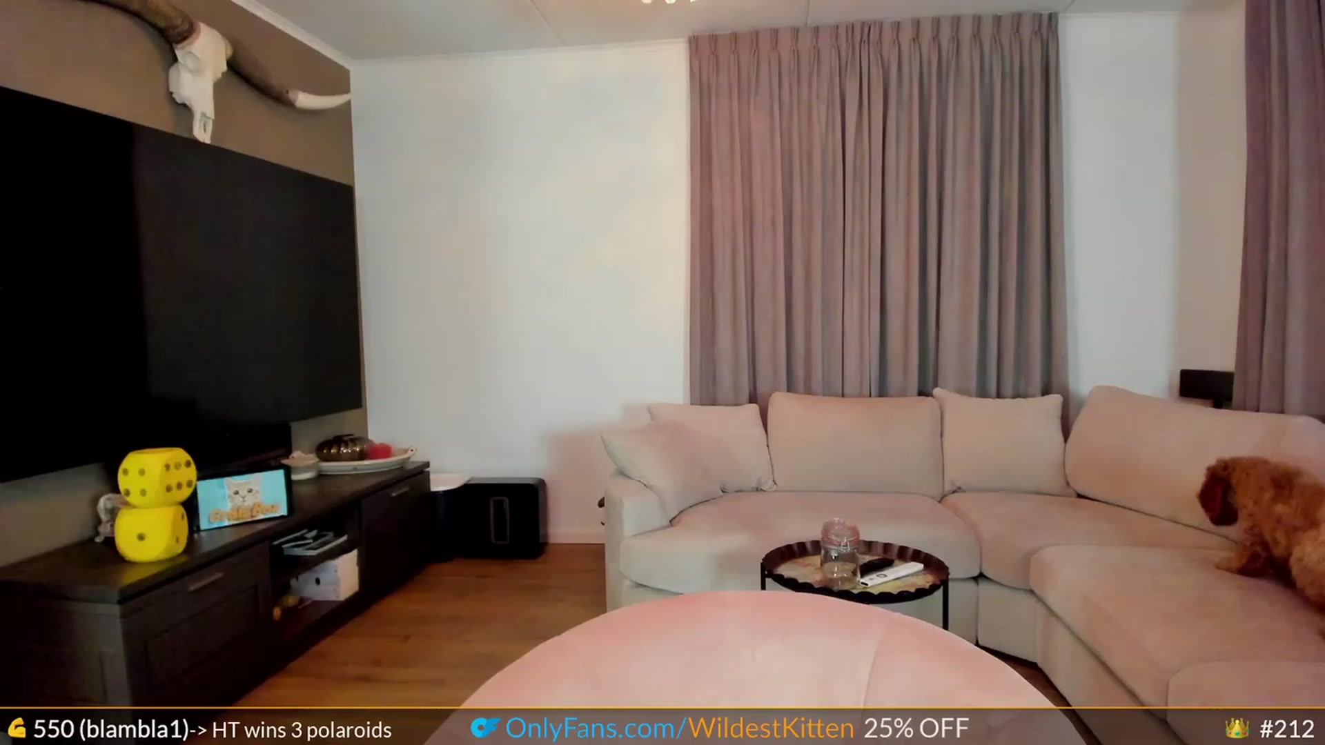 Gallery image thumbnail from WildestKitten's myfreecams stream on, 04/08/2023, 20:52 image 13 of 20