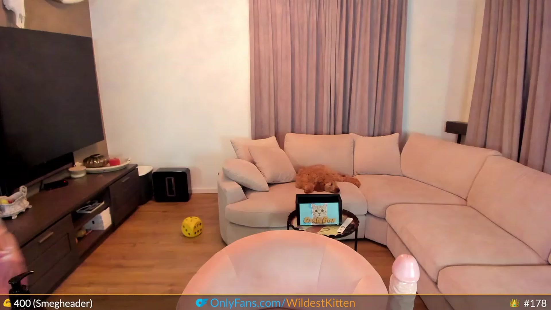Gallery image thumbnail from WildestKitten's myfreecams stream on, 04/15/2023, 01:52 image 14 of 20