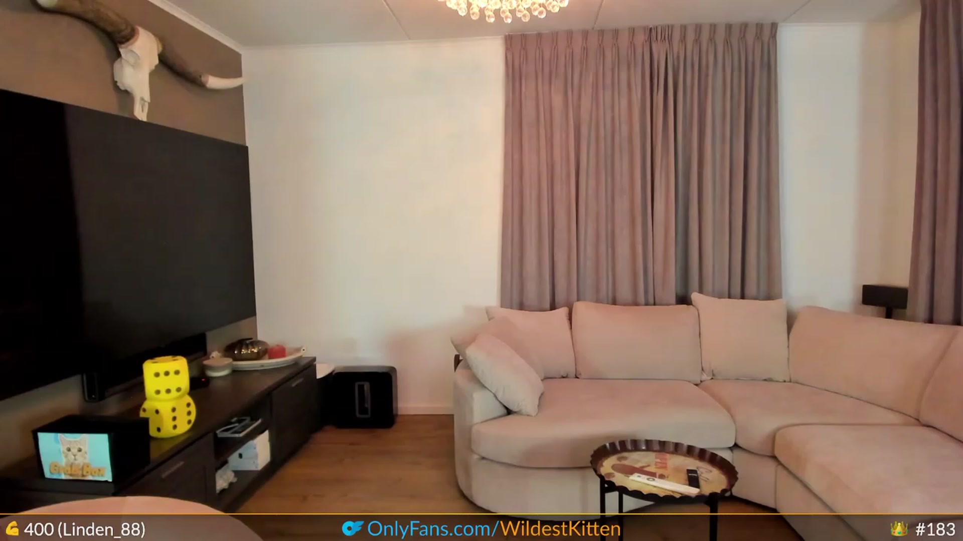 Gallery image thumbnail from WildestKitten's myfreecams stream on, 04/23/2023, 24:03 image 10 of 20