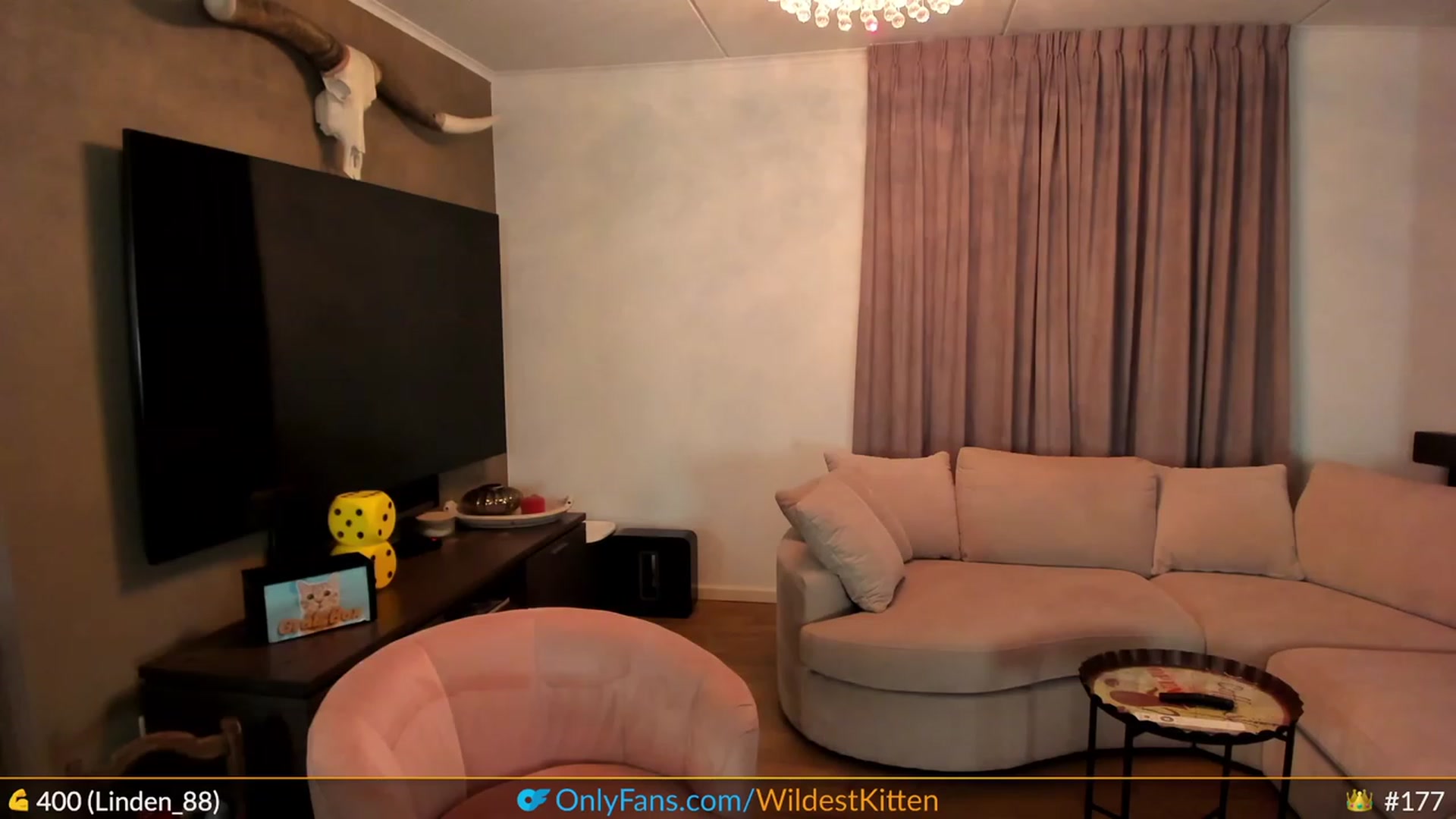 Gallery image thumbnail from WildestKitten's myfreecams stream on, 04/25/2023, 23:05 image 15 of 20