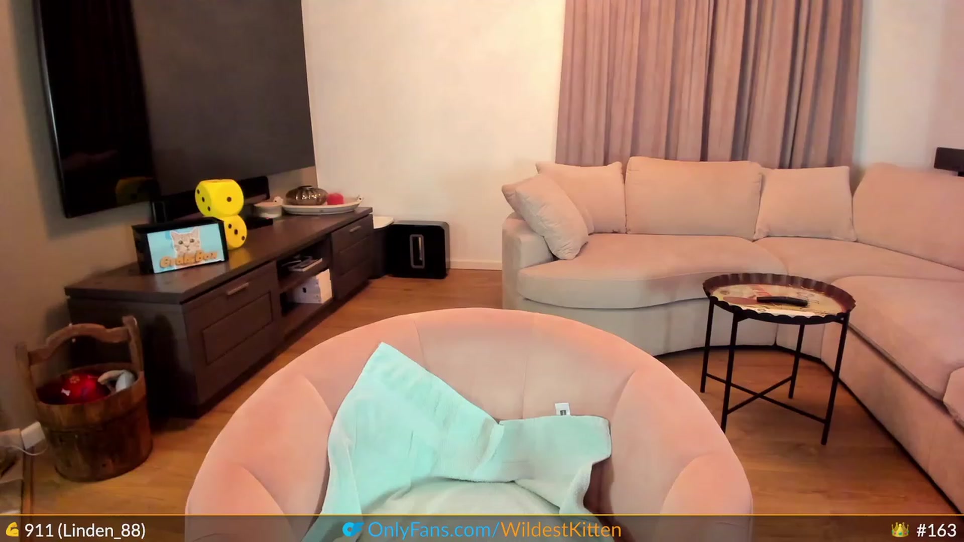 Gallery image thumbnail from WildestKitten's myfreecams stream on, 04/26/2023, 24:37 image 14 of 20