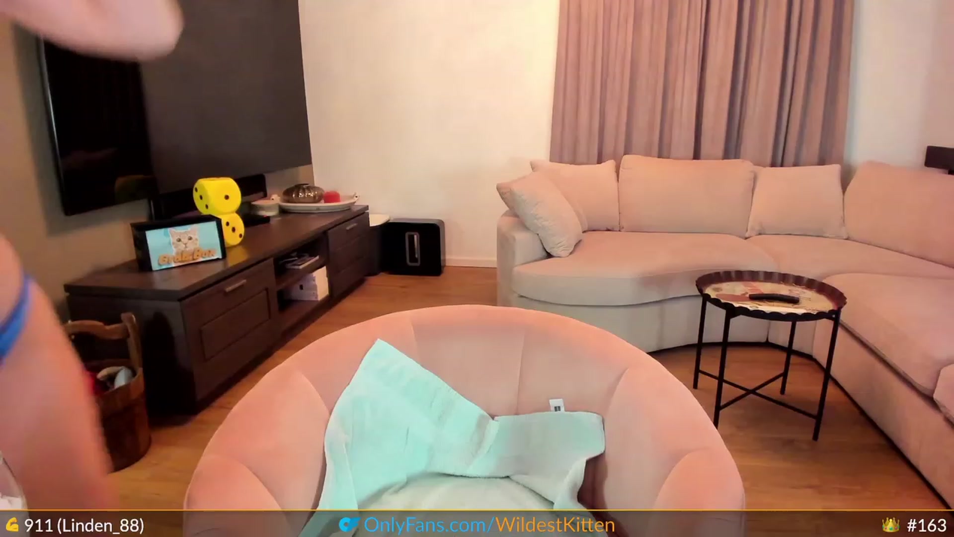 Gallery image thumbnail from WildestKitten's myfreecams stream on, 04/26/2023, 24:37 image 15 of 20
