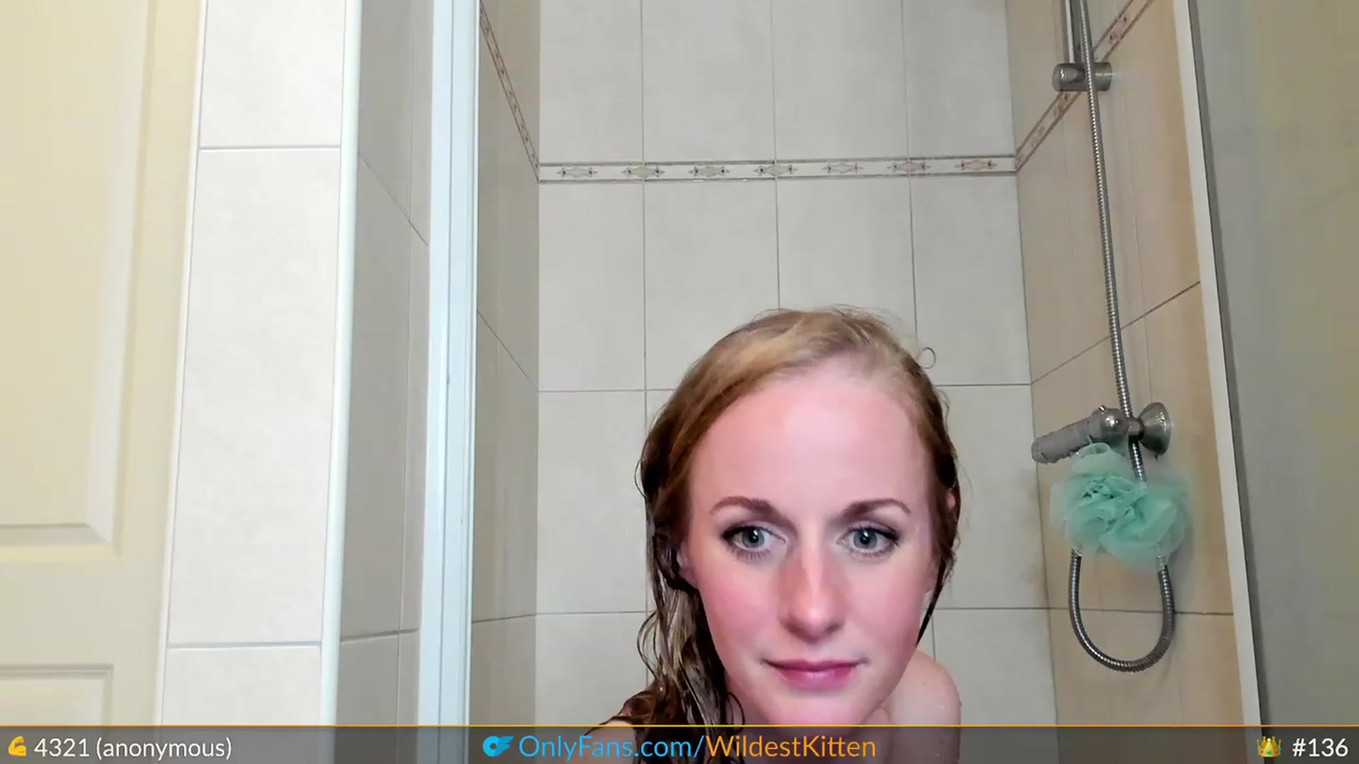 Gallery image thumbnail from WildestKitten's myfreecams stream on, 04/27/2023, 24:37 image 16 of 20
