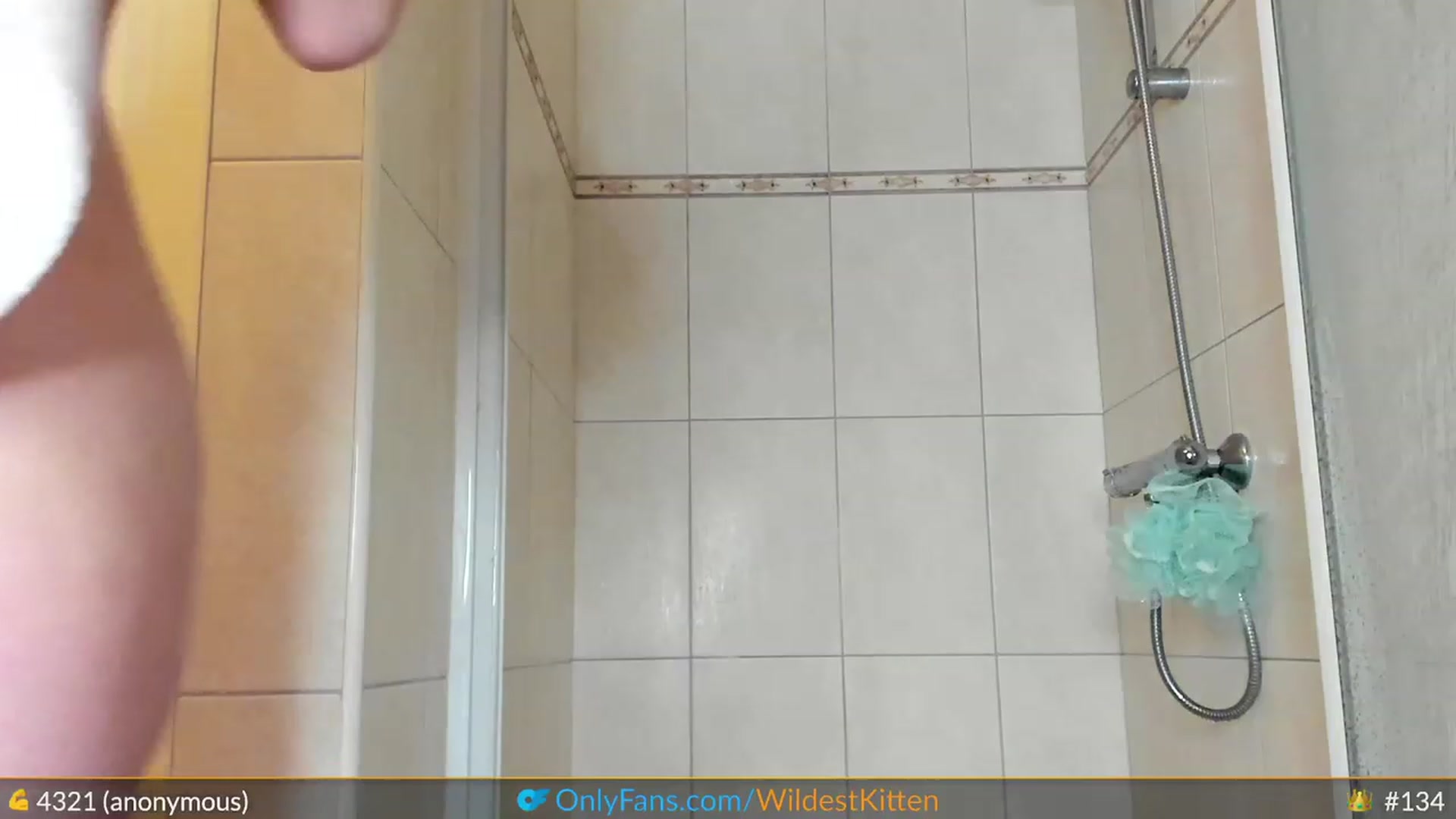 Gallery image thumbnail from WildestKitten's myfreecams stream on, 04/27/2023, 24:45 image 20 of 20