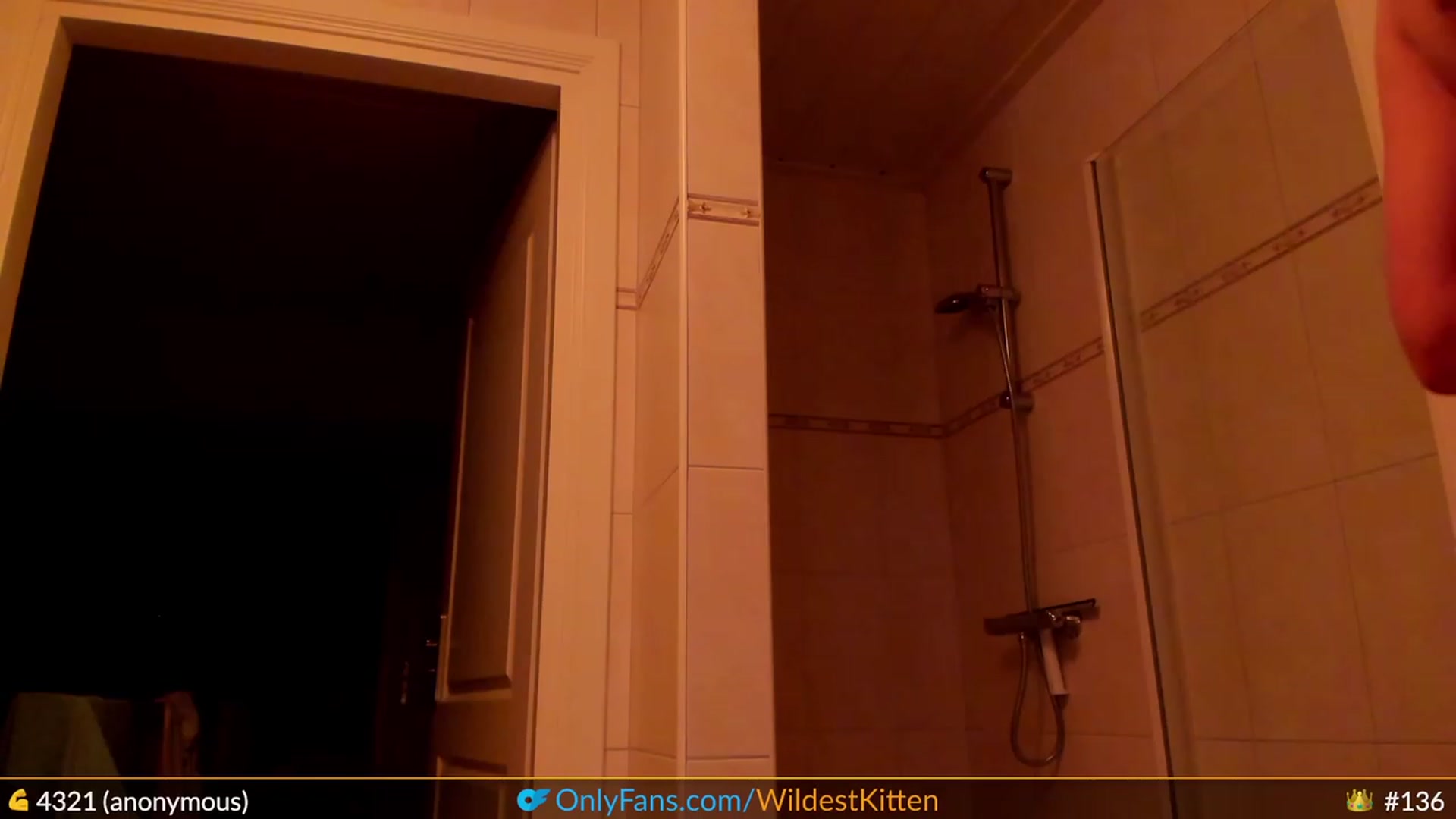 Gallery image thumbnail from WildestKitten's myfreecams stream on, 04/27/2023, 24:45 image 5 of 20