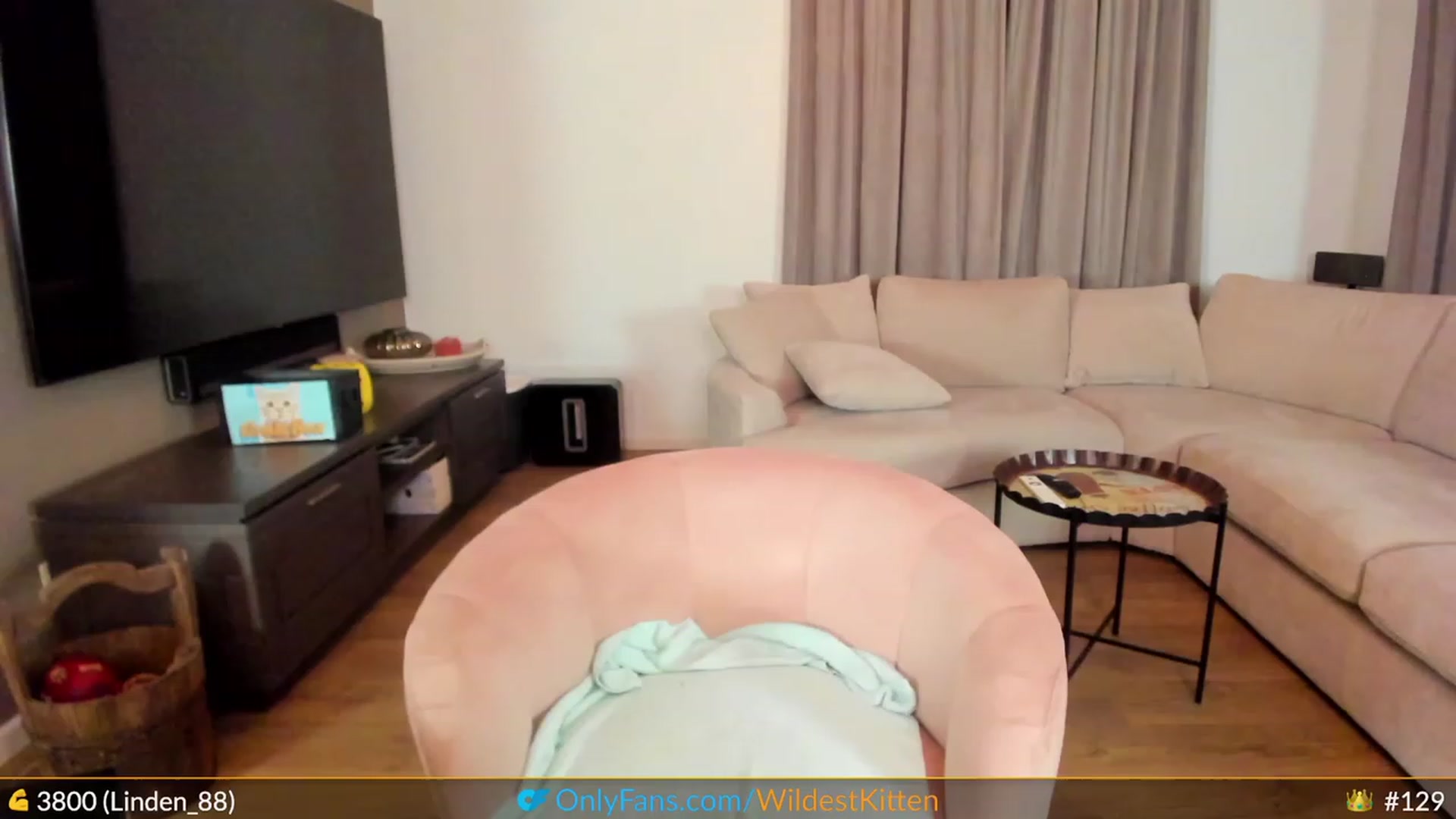 Gallery image thumbnail from WildestKitten's myfreecams stream on, 05/01/2023, 24:33 image 19 of 20