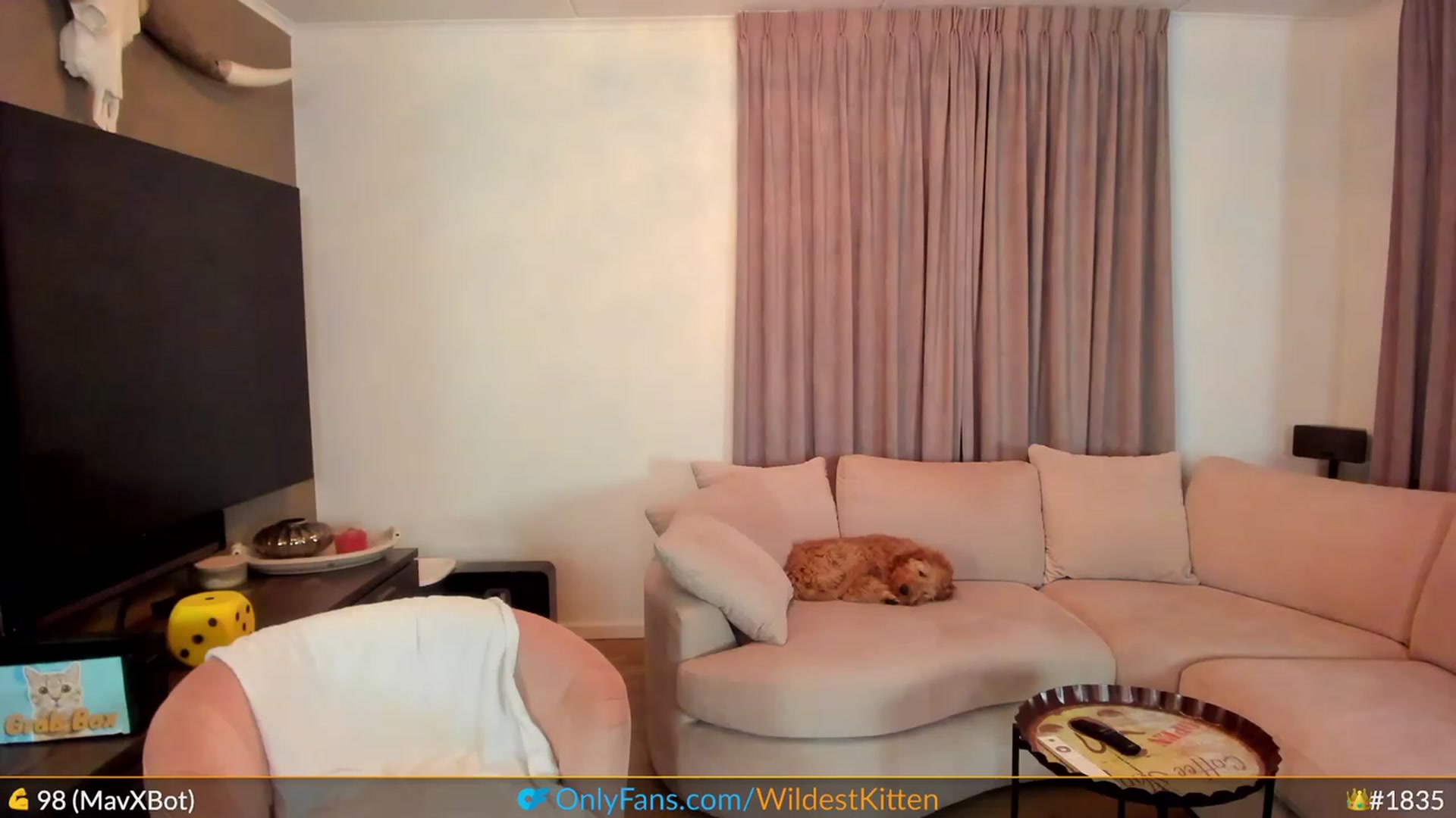 Gallery image thumbnail from WildestKitten's myfreecams stream on, 05/02/2023, 22:29 image 10 of 20